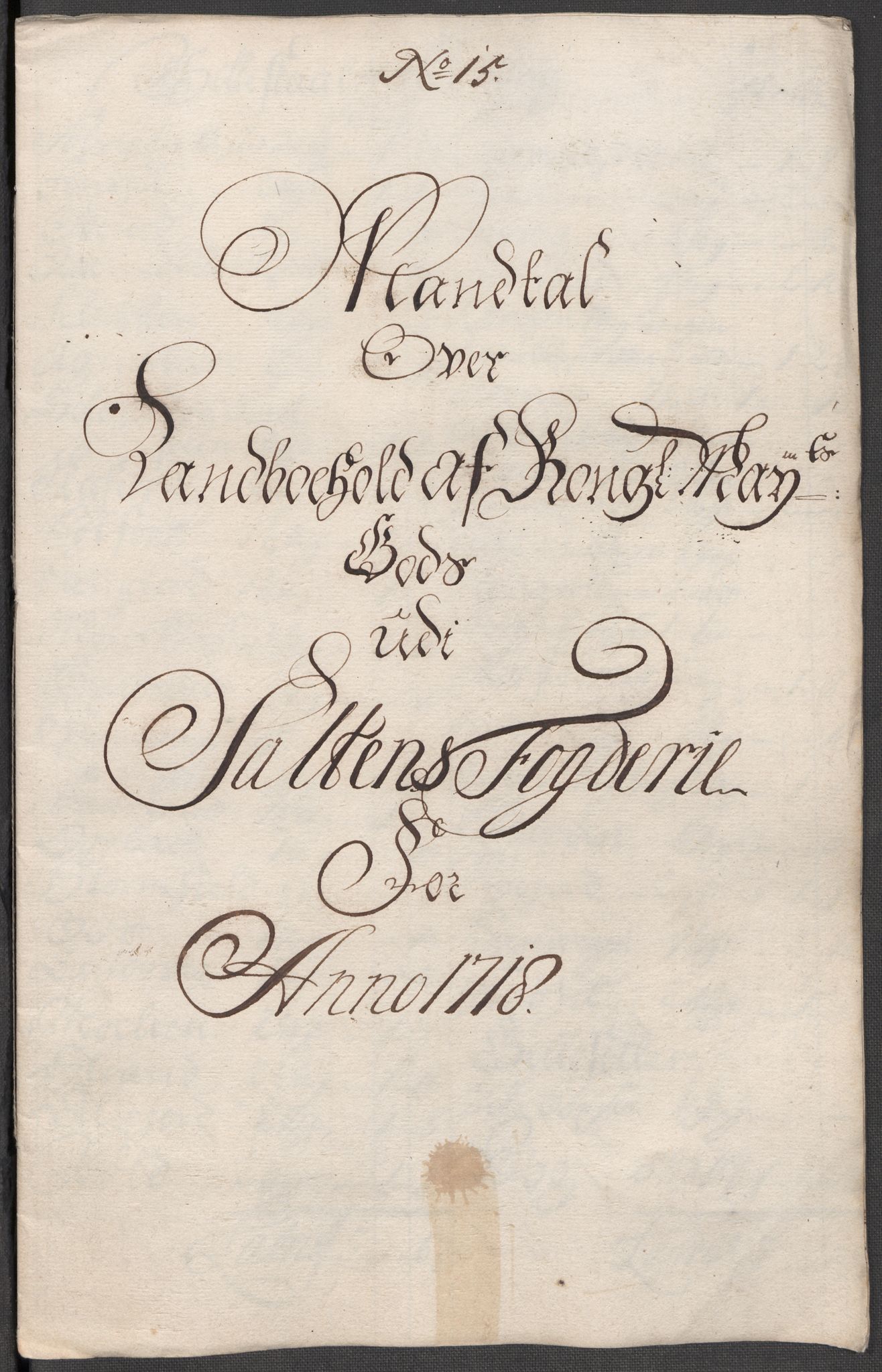 Rentekammeret inntil 1814, Reviderte regnskaper, Fogderegnskap, RA/EA-4092/R66/L4588: Fogderegnskap Salten, 1718, s. 229