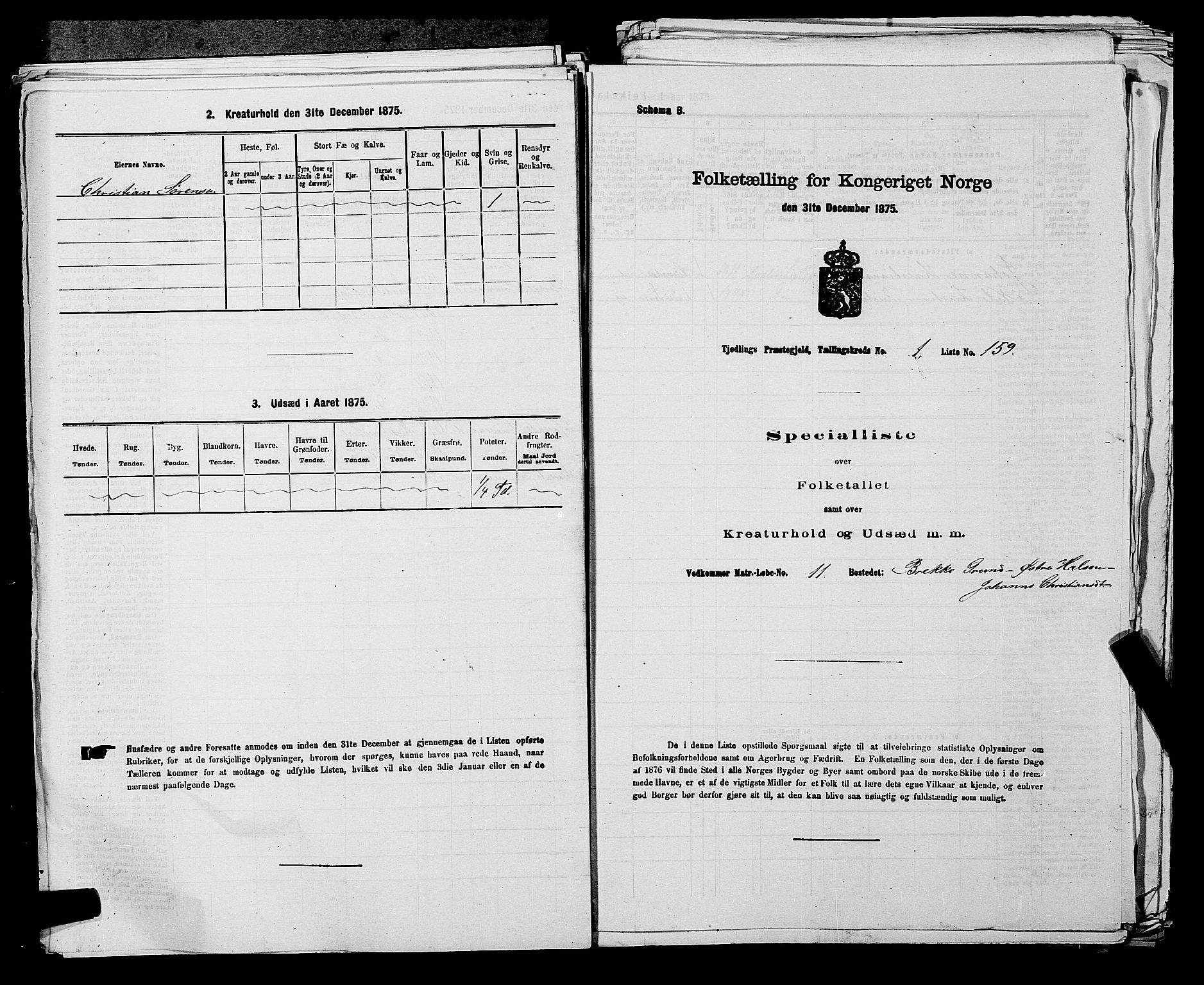 SAKO, Folketelling 1875 for 0725P Tjølling prestegjeld, 1875, s. 378