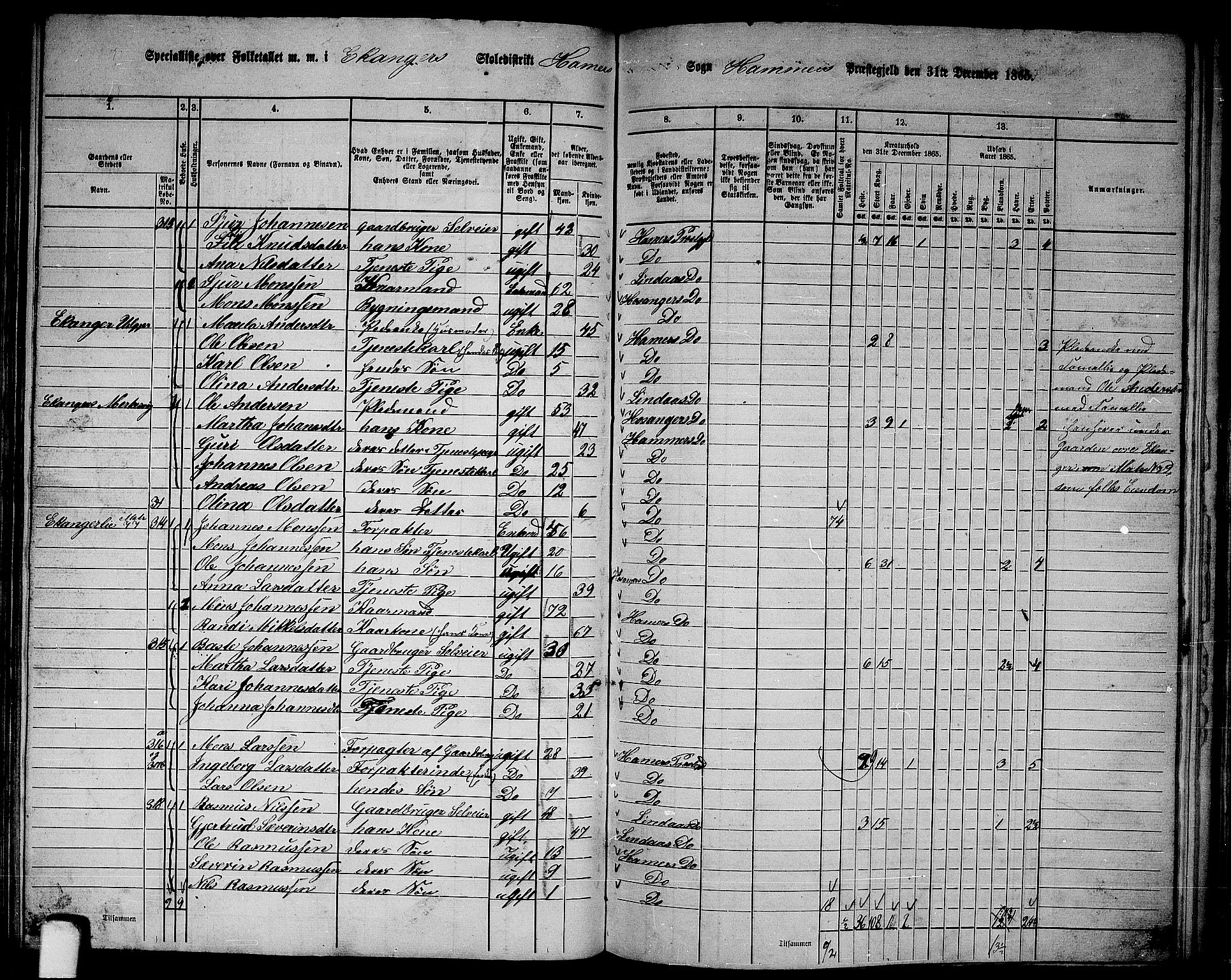 RA, Folketelling 1865 for 1254P Hamre prestegjeld, 1865, s. 119