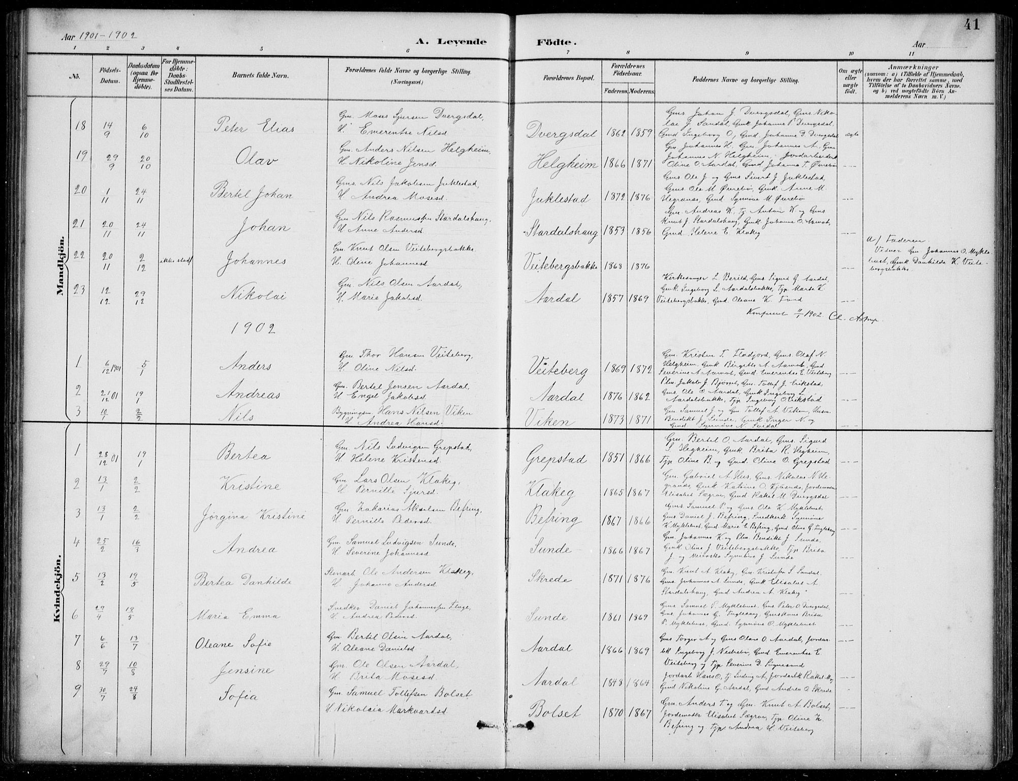 Jølster sokneprestembete, AV/SAB-A-80701/H/Hab/Habb/L0002: Klokkerbok nr. B 2, 1887-1920, s. 41