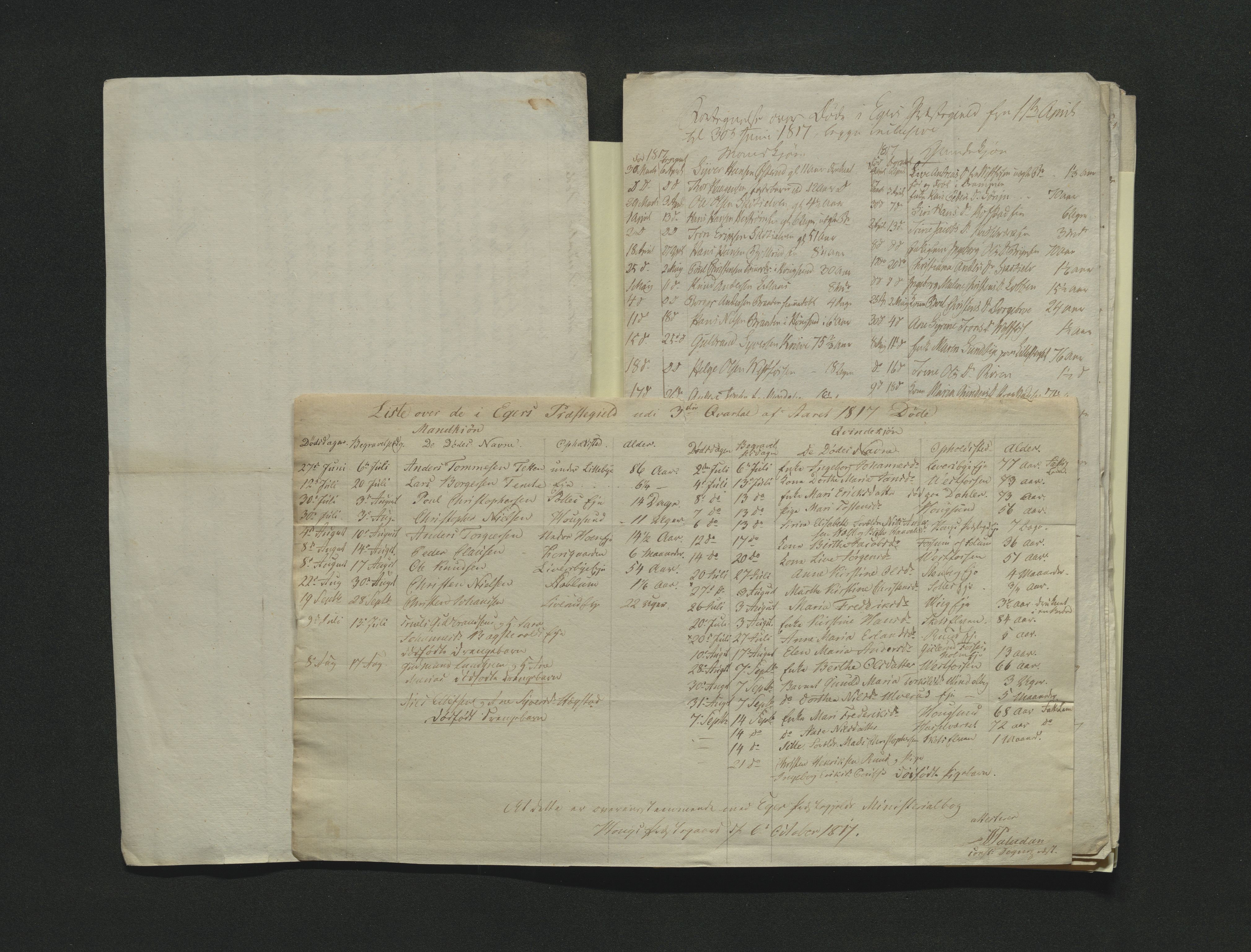Eiker, Modum og Sigdal sorenskriveri, AV/SAKO-A-123/H/Ha/Hab/L0001: Dødsfallsmeldinger, 1812-1822, s. 196
