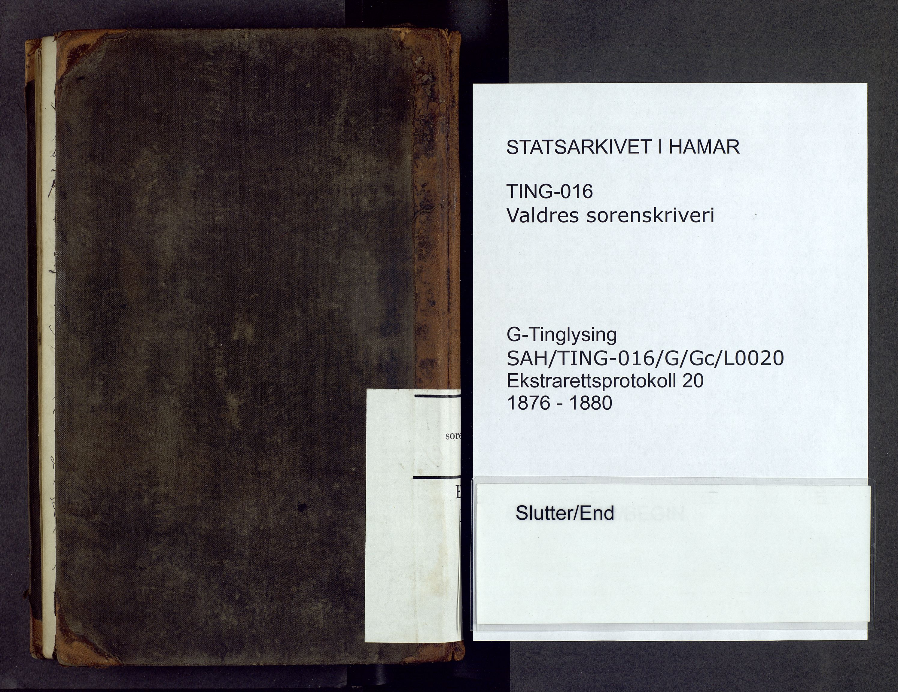 Valdres sorenskriveri, SAH/TING-016/G/Gc/L0020: Ekstrarettsprotokoll, 1876-1880