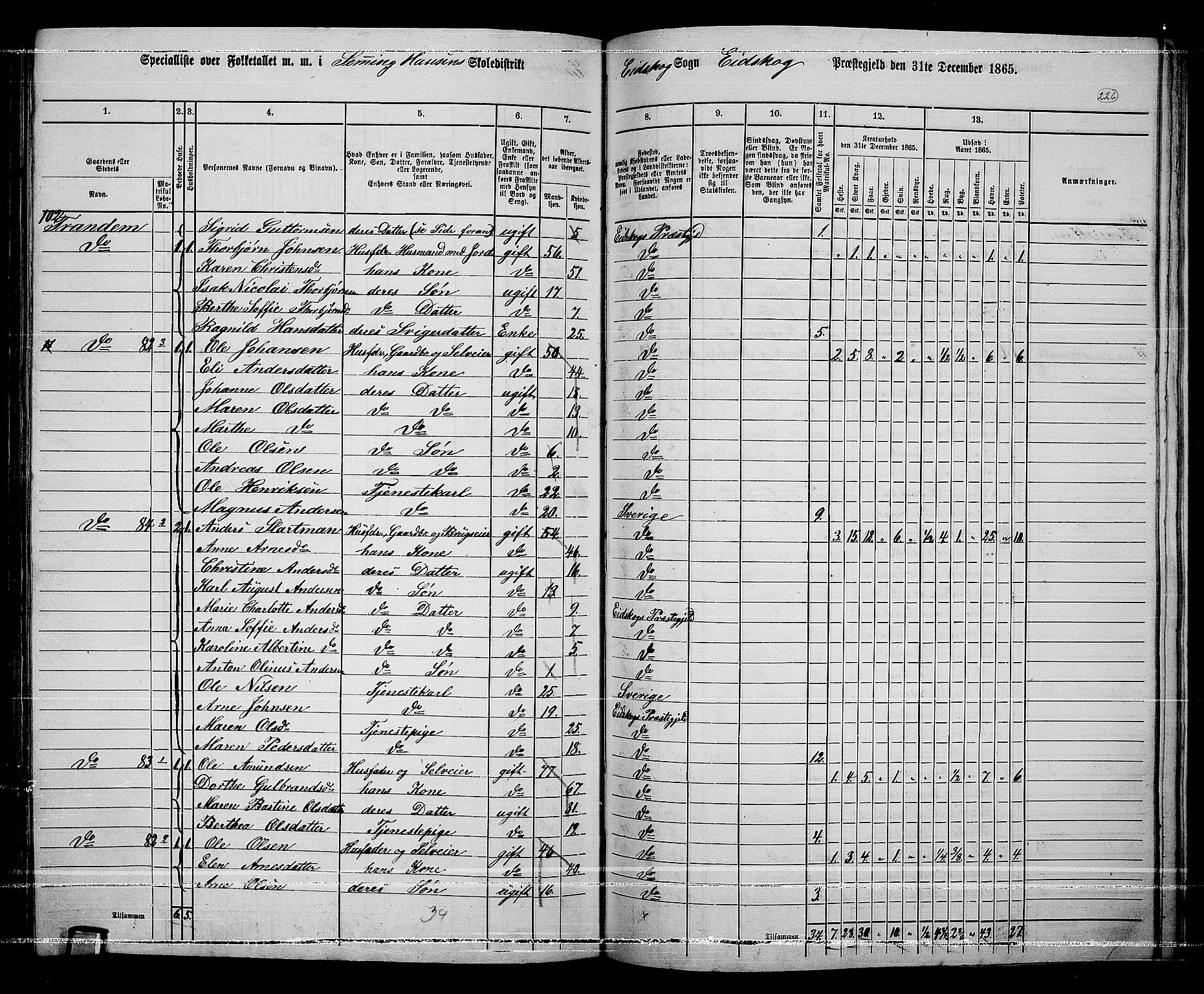 RA, Folketelling 1865 for 0420P Eidskog prestegjeld, 1865, s. 202