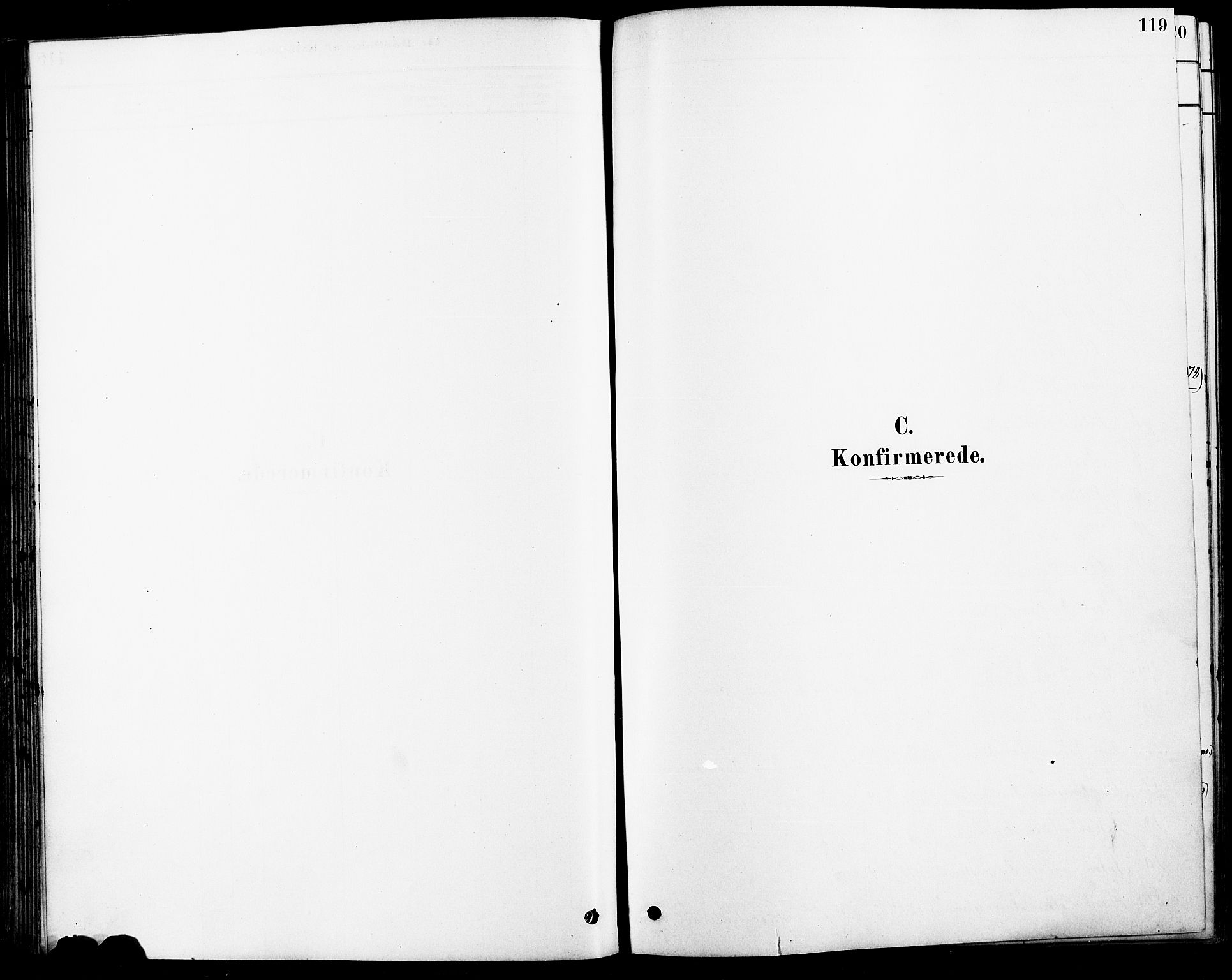 Fet prestekontor Kirkebøker, AV/SAO-A-10370a/F/Fa/L0014: Ministerialbok nr. I 14, 1878-1891, s. 119