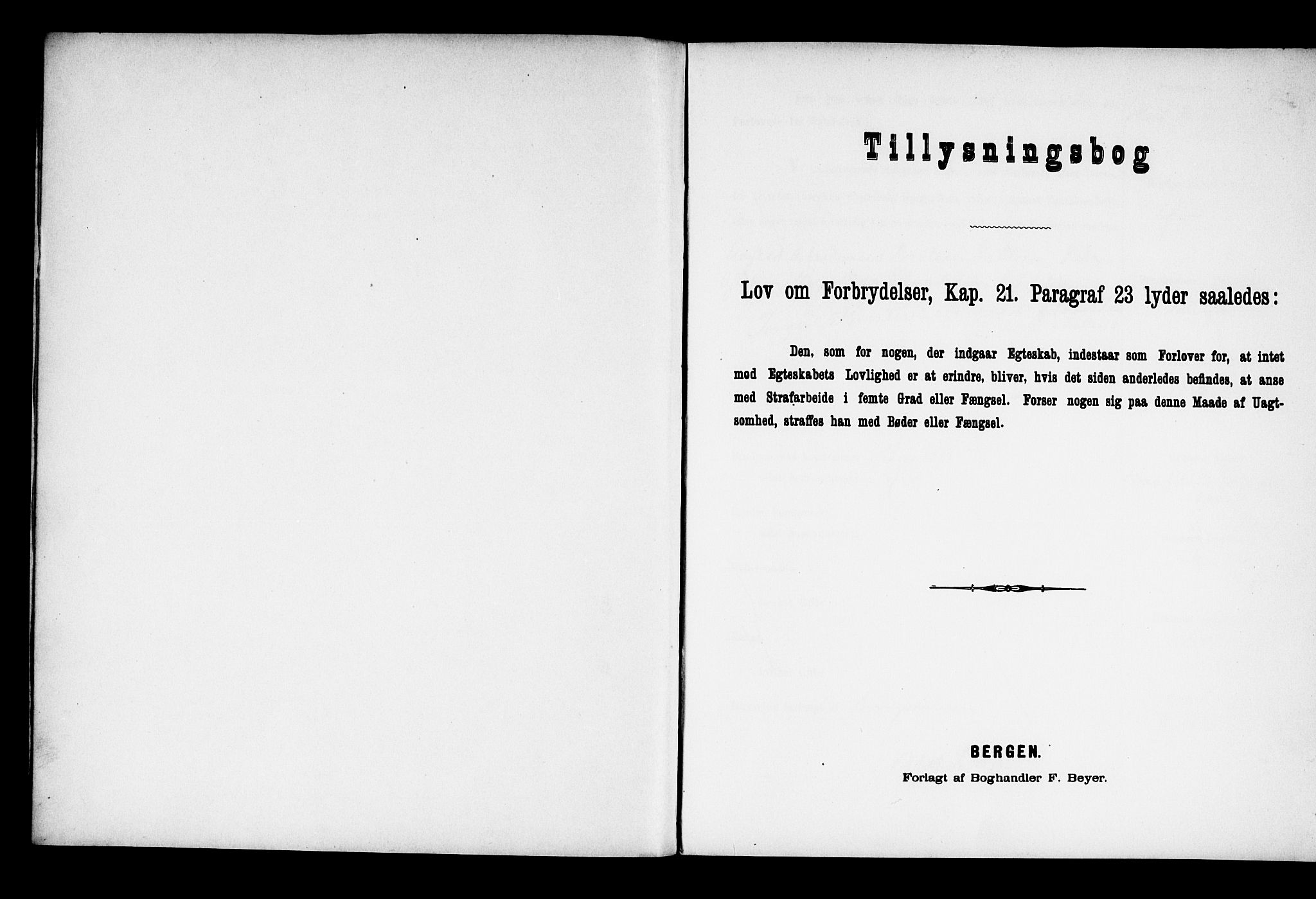 Ringebu prestekontor, AV/SAH-PREST-082/I/Ie: Lysningsprotokoll nr. 2, 1886-1894