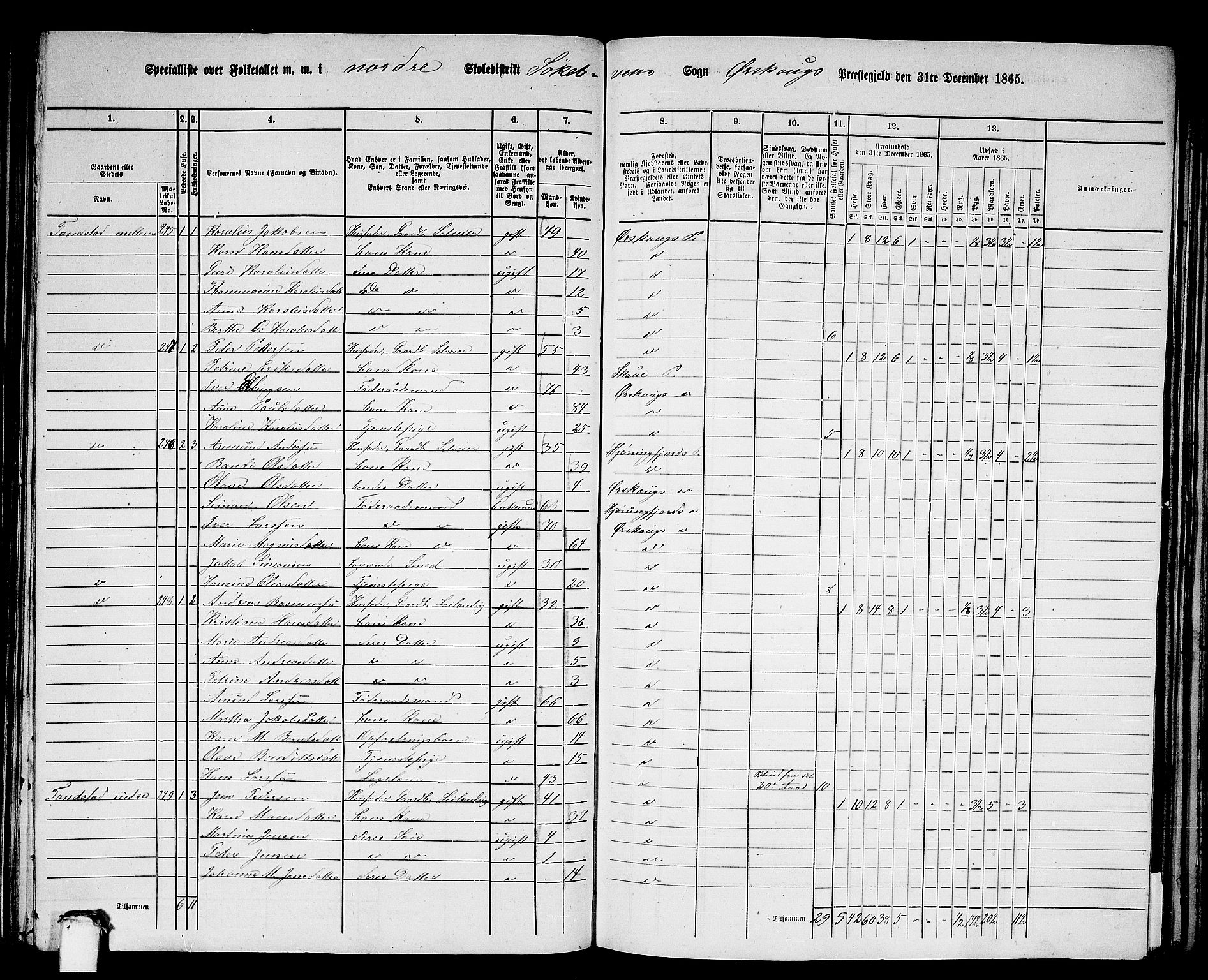 RA, Folketelling 1865 for 1527P Ørskog prestegjeld, 1865, s. 102