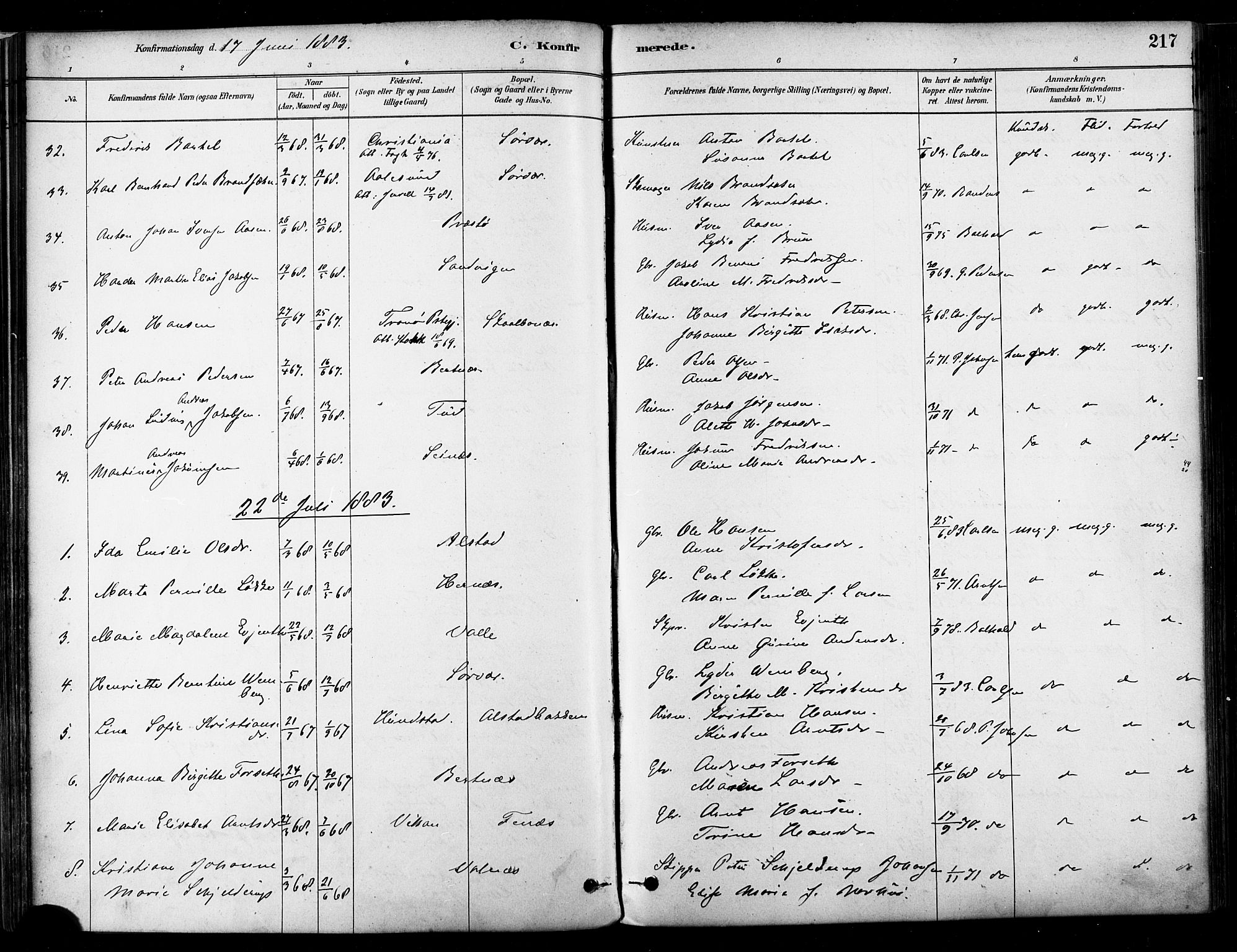 Ministerialprotokoller, klokkerbøker og fødselsregistre - Nordland, AV/SAT-A-1459/802/L0054: Ministerialbok nr. 802A01, 1879-1893, s. 217