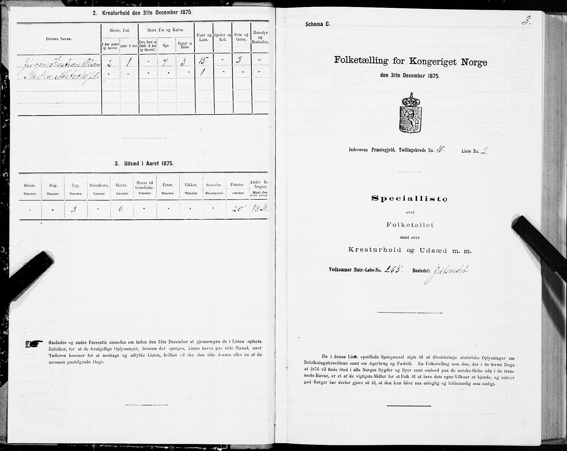 SAT, Folketelling 1875 for 1729P Inderøy prestegjeld, 1875, s. 6003