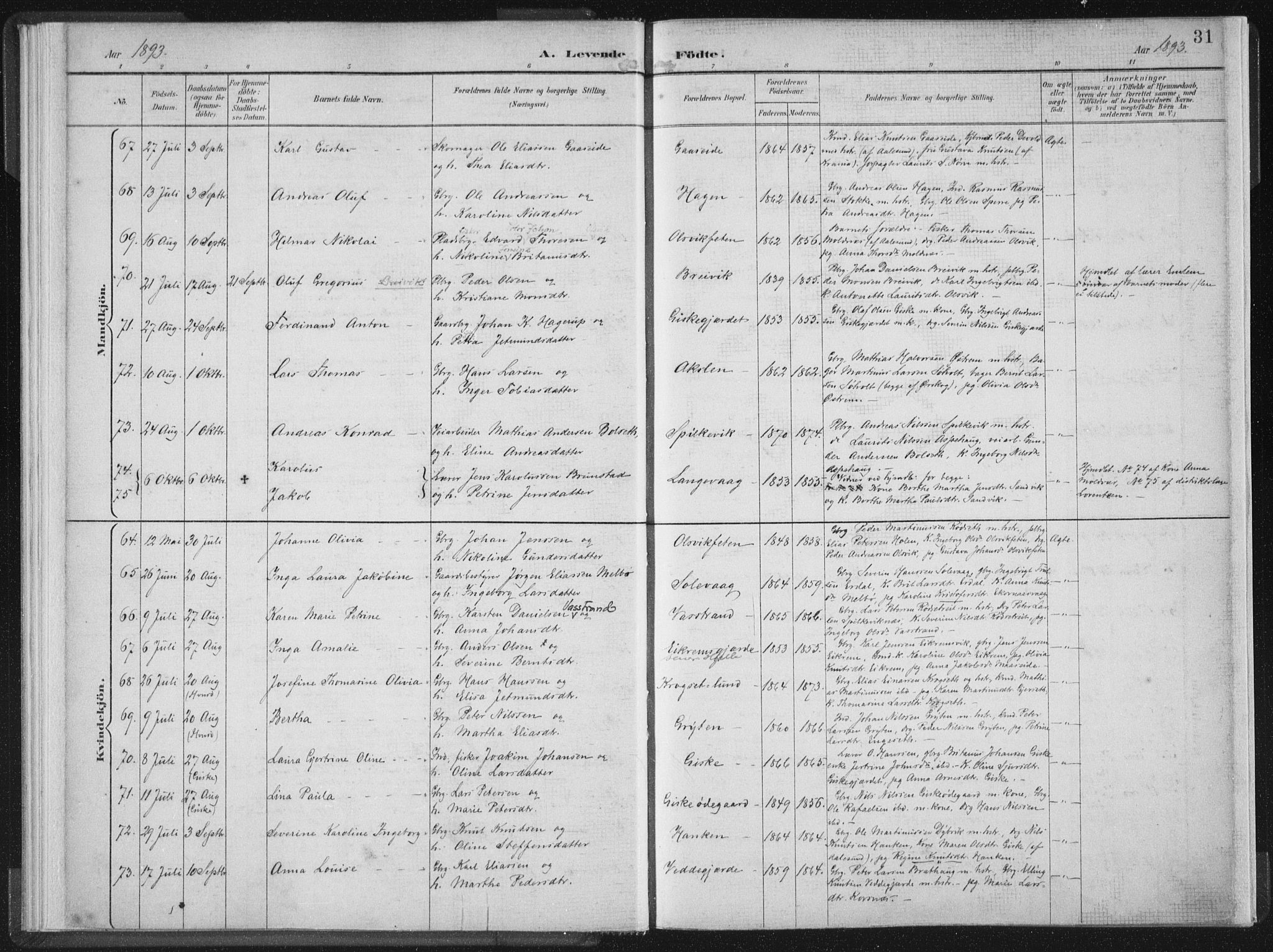 Ministerialprotokoller, klokkerbøker og fødselsregistre - Møre og Romsdal, AV/SAT-A-1454/528/L0405: Ministerialbok nr. 528A14, 1891-1906, s. 31