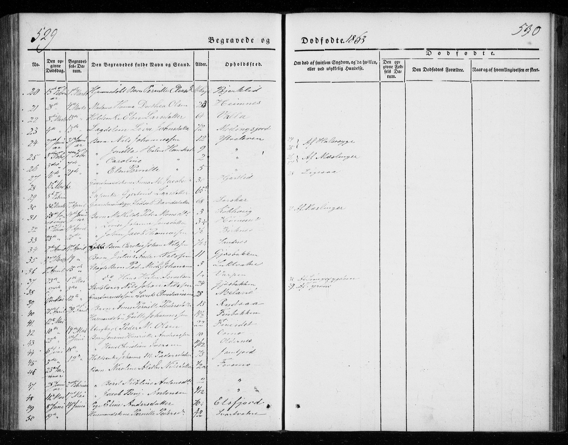 Ministerialprotokoller, klokkerbøker og fødselsregistre - Nordland, AV/SAT-A-1459/825/L0355: Ministerialbok nr. 825A09, 1842-1863, s. 529-530