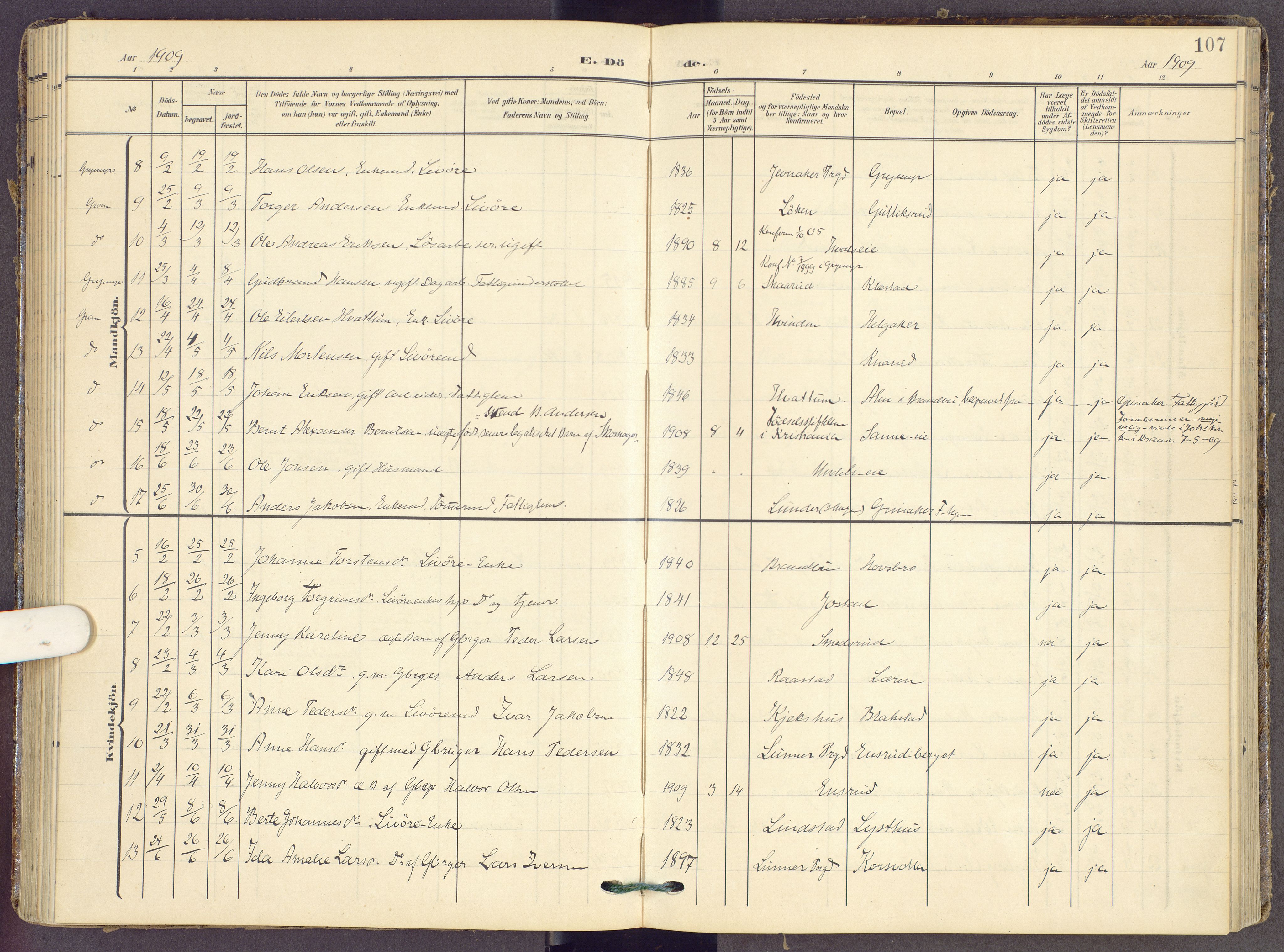 Gran prestekontor, AV/SAH-PREST-112/H/Ha/Haa/L0022: Ministerialbok nr. 22, 1908-1918, s. 107