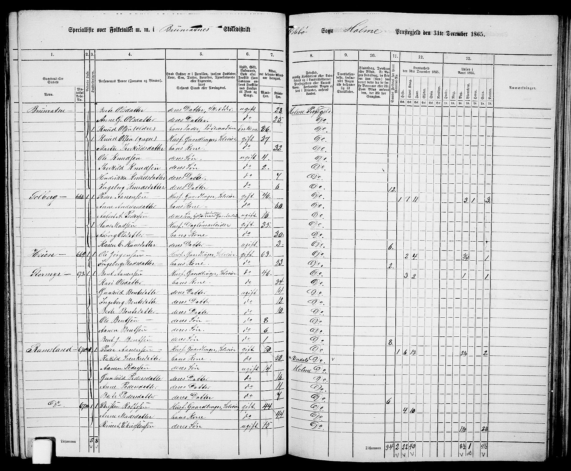 RA, Folketelling 1865 for 1020P Holum prestegjeld, 1865, s. 108
