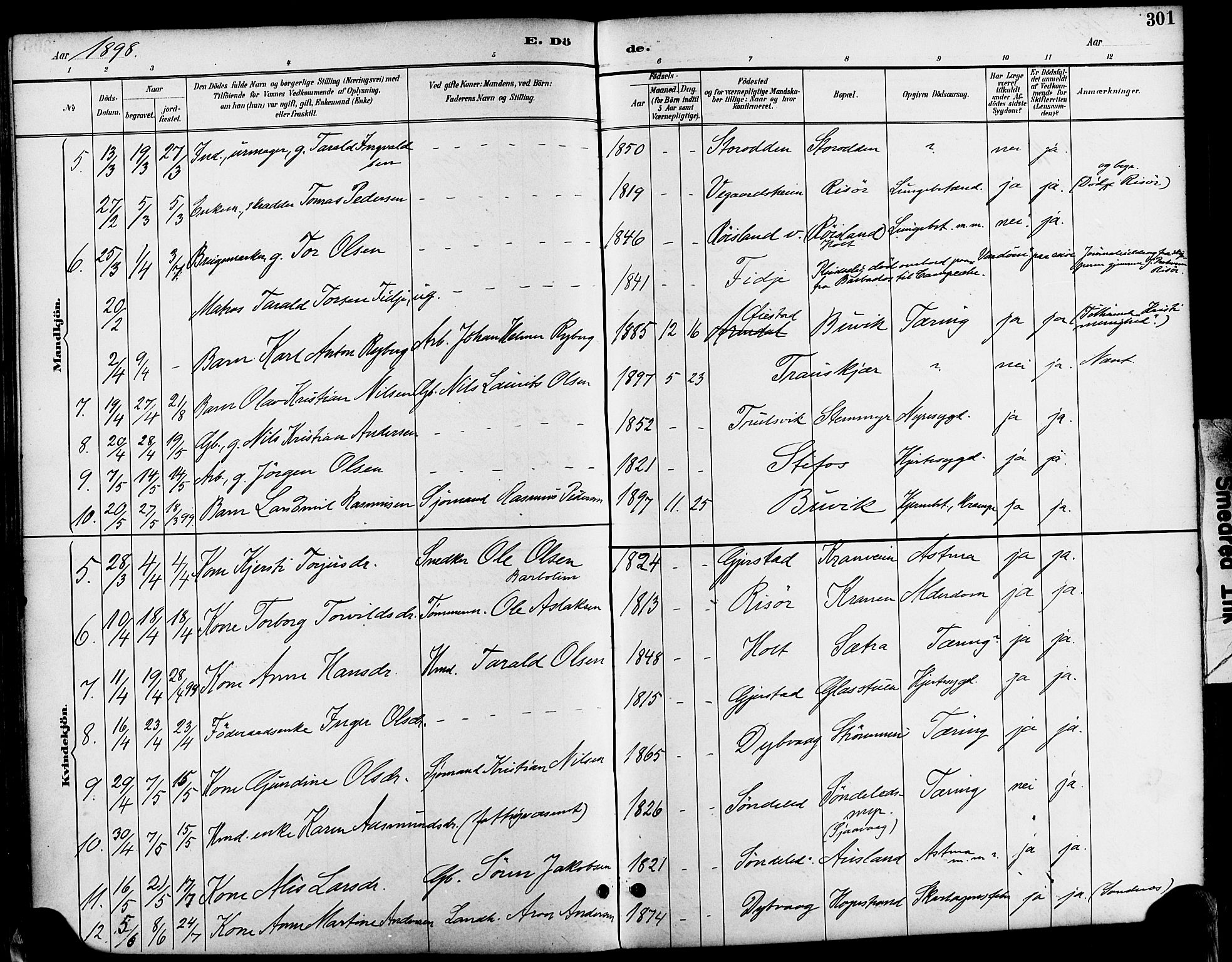 Søndeled sokneprestkontor, AV/SAK-1111-0038/F/Fa/L0005: Ministerialbok nr. A 5, 1889-1899, s. 301