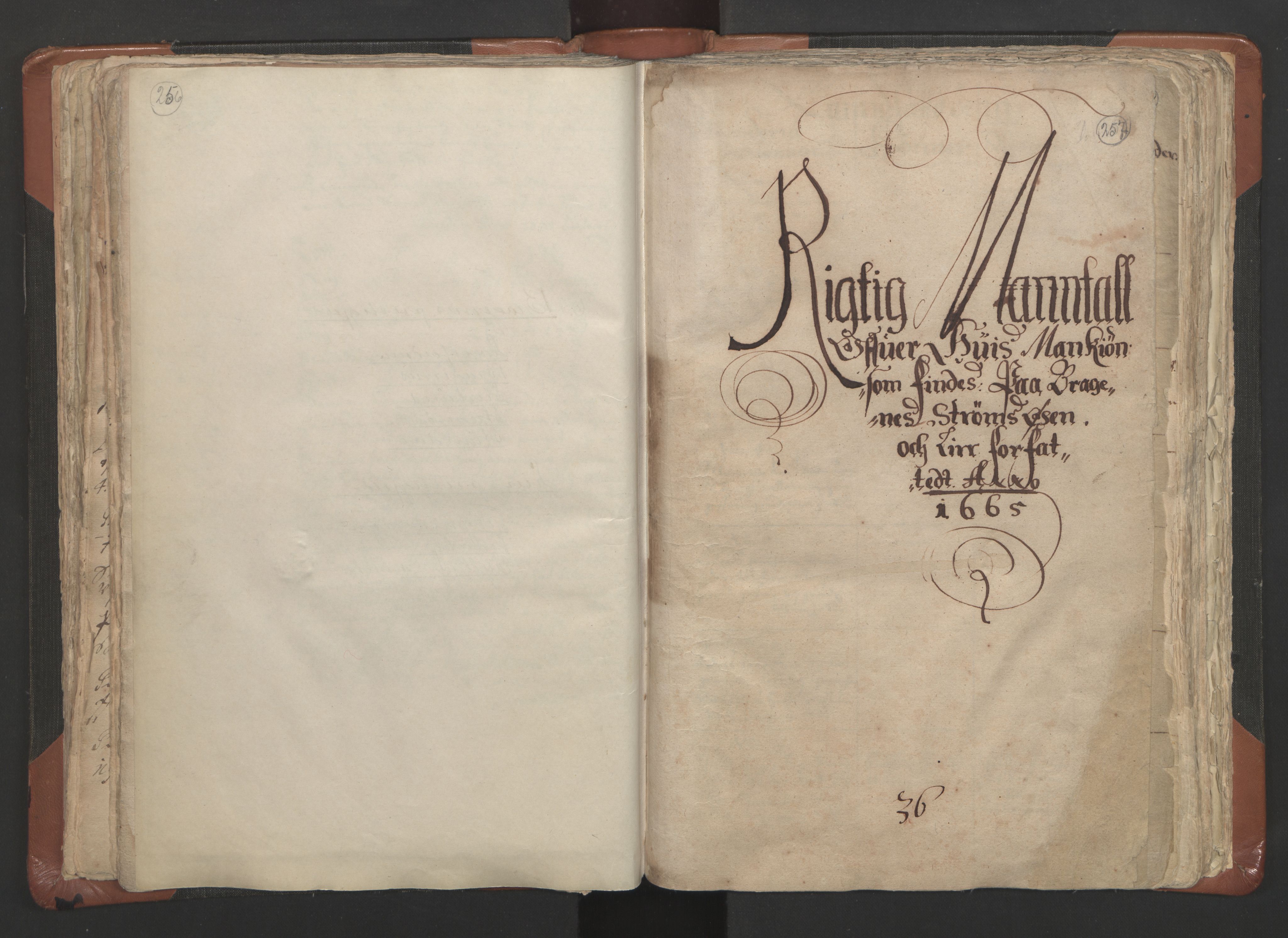 RA, Sogneprestenes manntall 1664-1666, nr. 9: Bragernes prosti, 1664-1666, s. 256-257