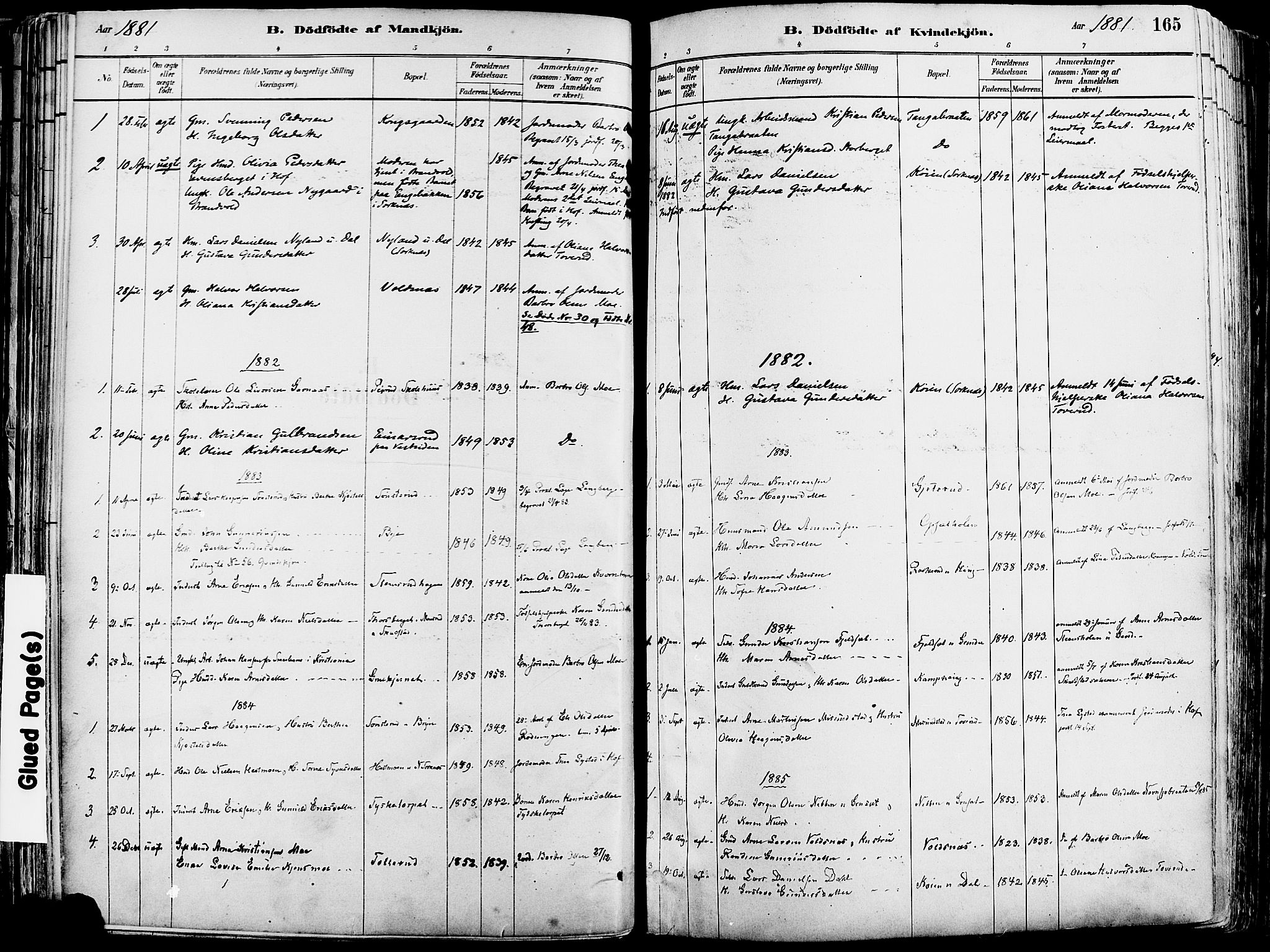 Grue prestekontor, SAH/PREST-036/H/Ha/Haa/L0012: Ministerialbok nr. 12, 1881-1897, s. 165