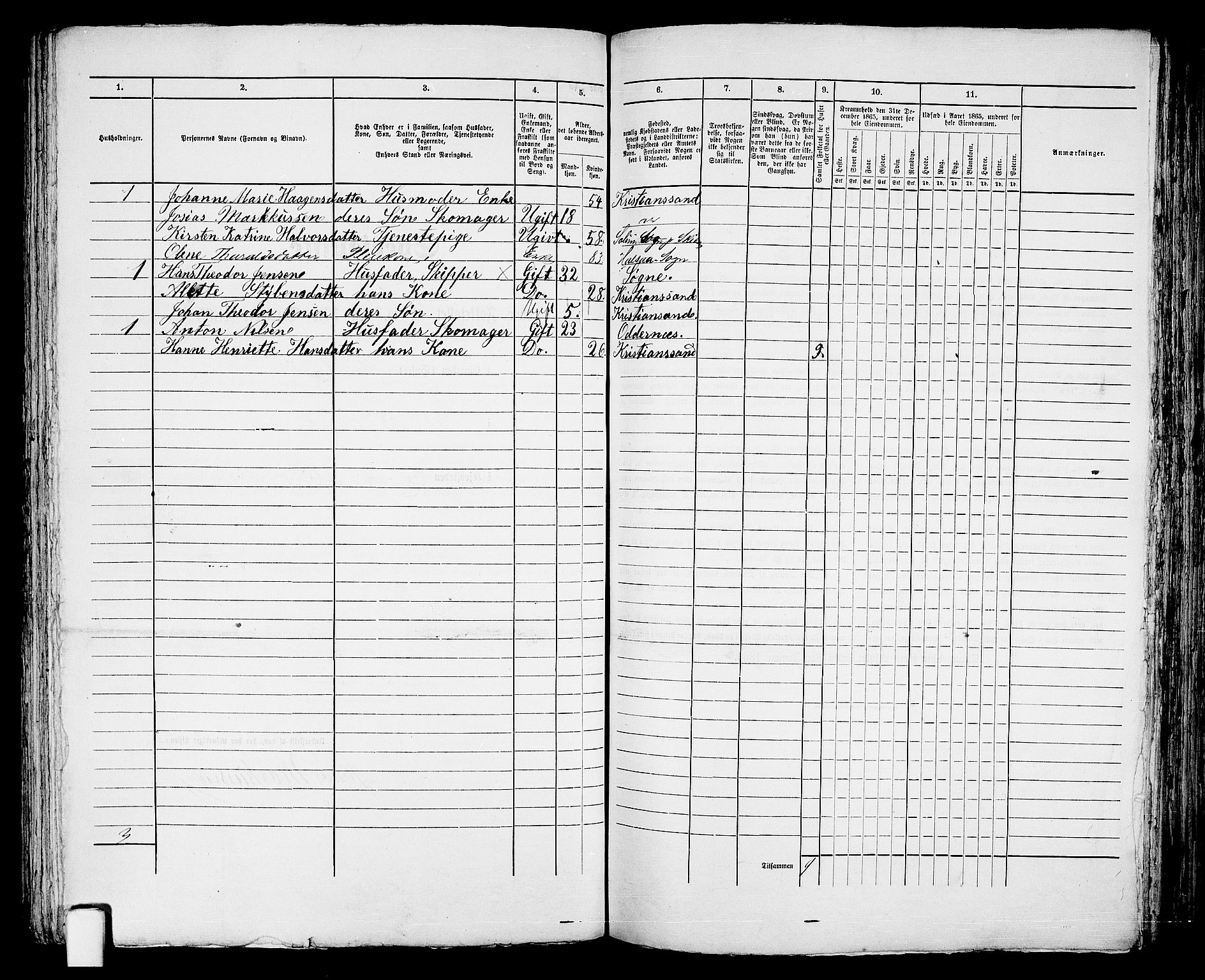 RA, Folketelling 1865 for 1001P Kristiansand prestegjeld, 1865, s. 784