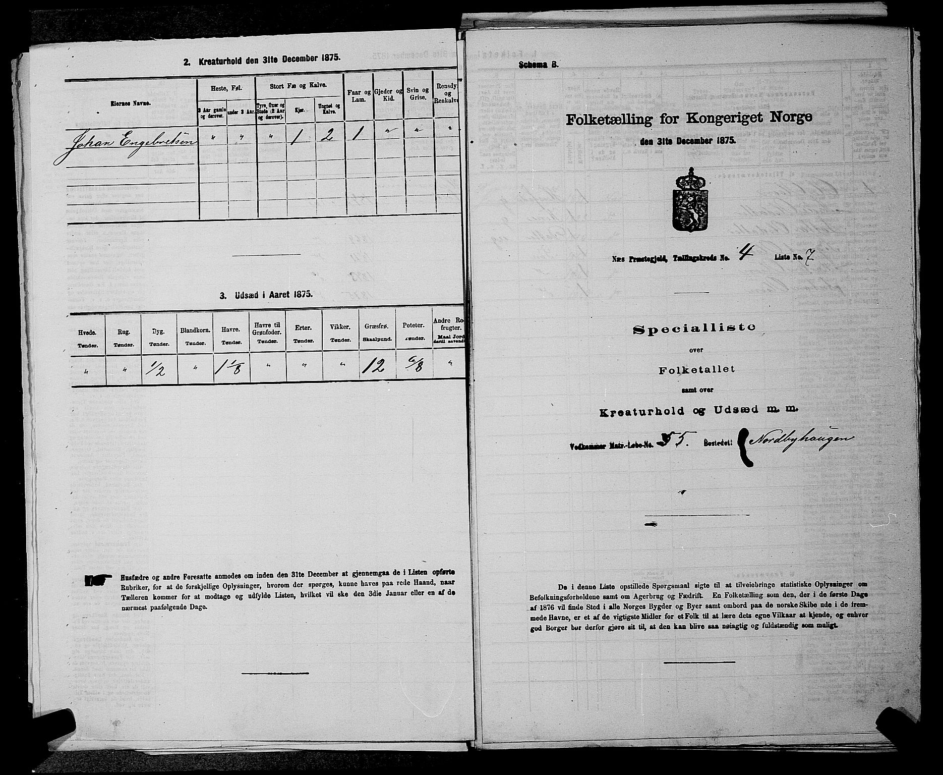 RA, Folketelling 1875 for 0236P Nes prestegjeld, 1875, s. 502