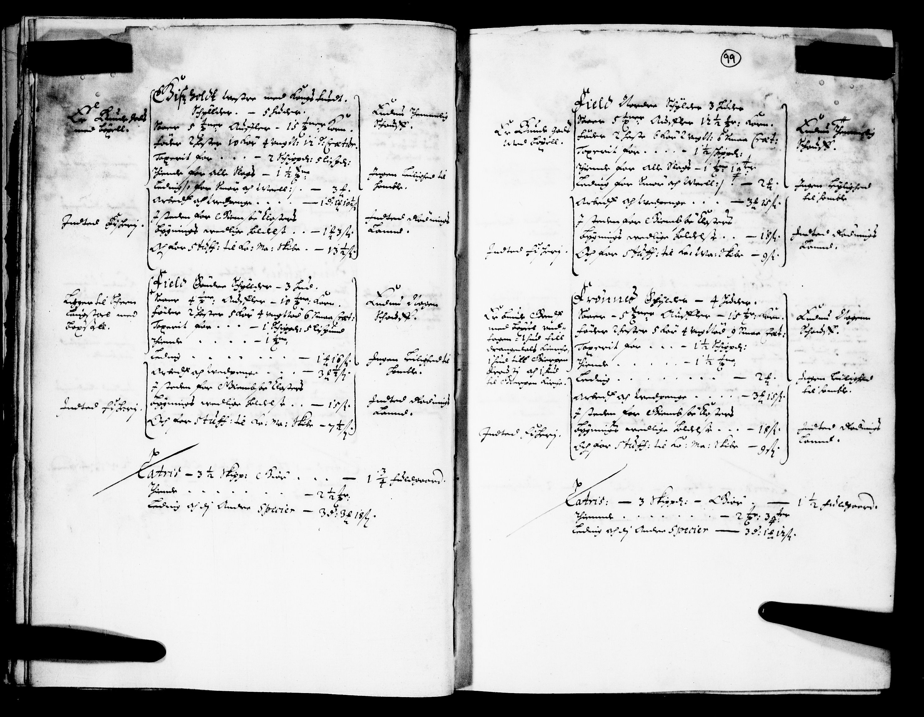 Rentekammeret inntil 1814, Realistisk ordnet avdeling, AV/RA-EA-4070/N/Nb/Nba/L0026: Nedre og Øvre Telemark fogderi, 1667, s. 98b-99a