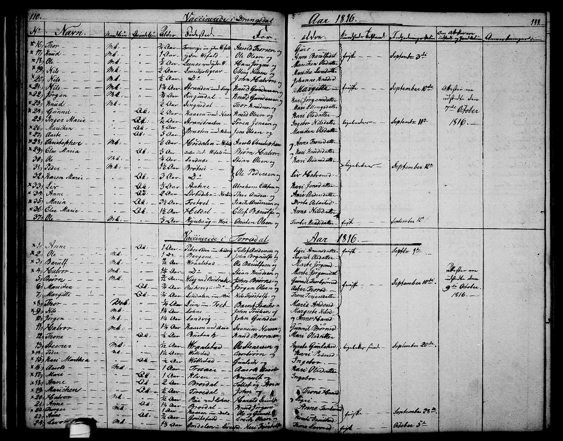 Drangedal kirkebøker, AV/SAKO-A-258/F/Fa/L0004: Ministerialbok nr. 4, 1802-1814, s. 110-111