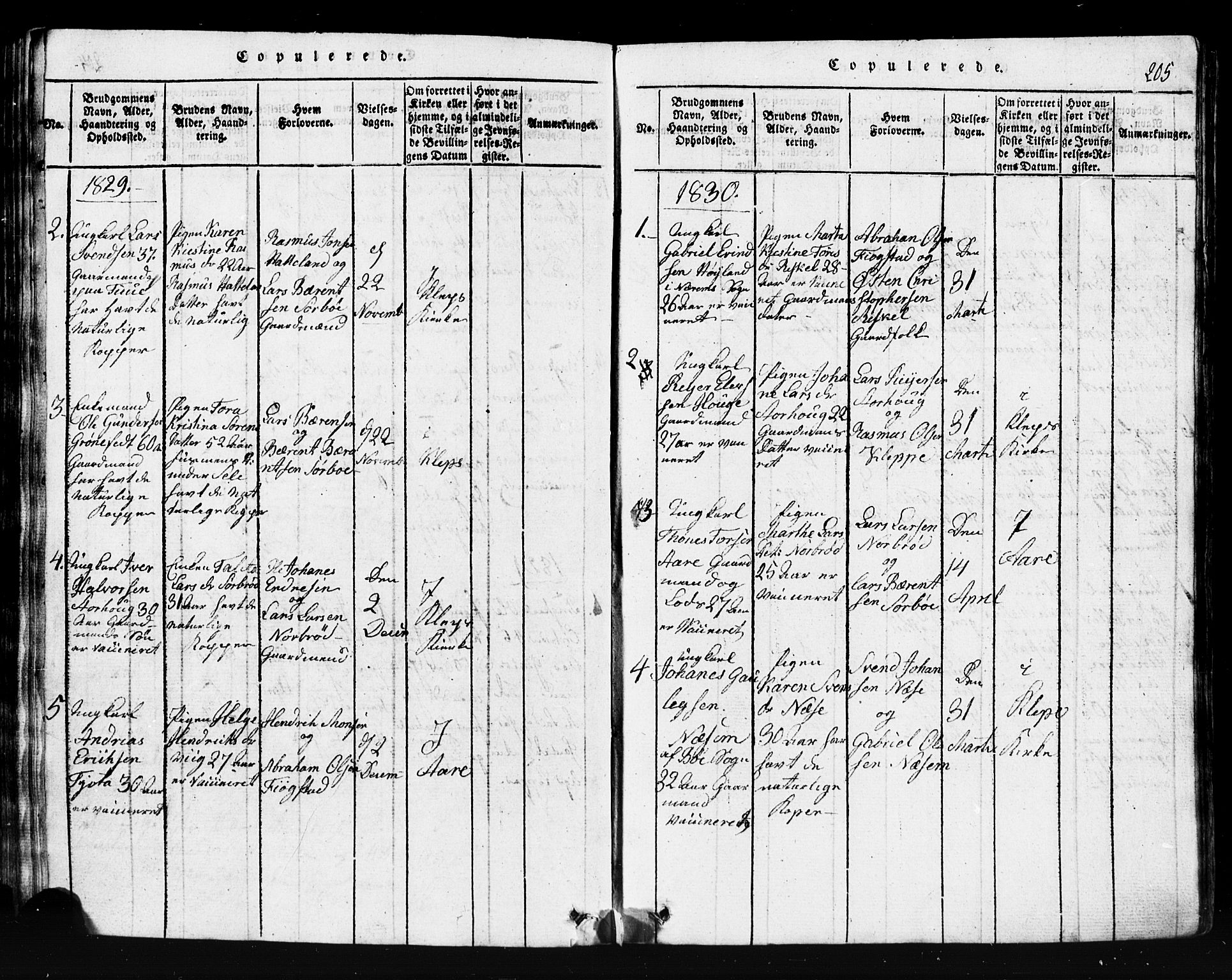 Klepp sokneprestkontor, AV/SAST-A-101803/001/3/30BB/L0001: Klokkerbok nr.  B 1, 1816-1859, s. 205