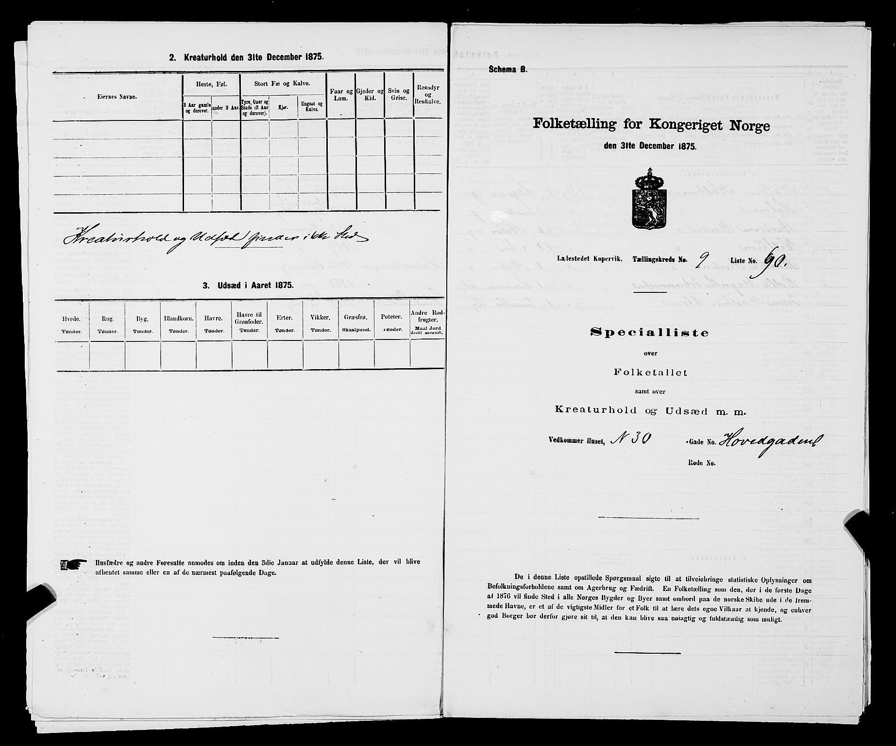 SAST, Folketelling 1875 for 1105B Avaldsnes prestegjeld, Kopervik ladested, 1875, s. 179