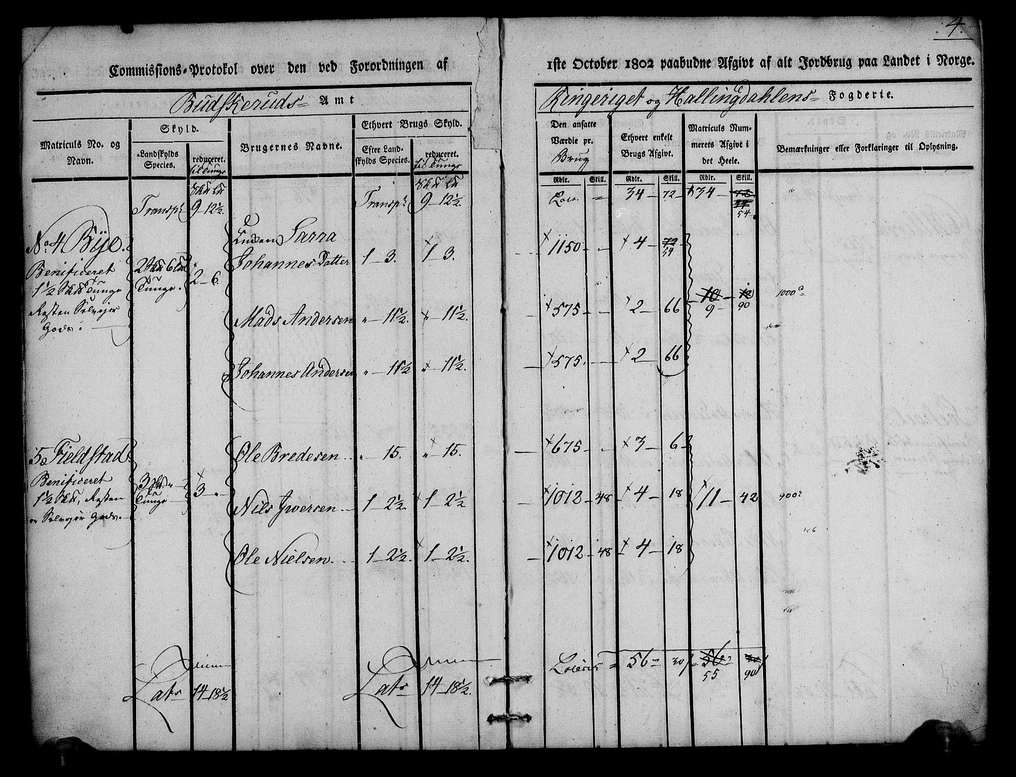 Rentekammeret inntil 1814, Realistisk ordnet avdeling, AV/RA-EA-4070/N/Ne/Nea/L0046: Ringerike og Hallingdal fogderi. Kommisjonsprotokoll for Hole prestegjeld, 1803, s. 5