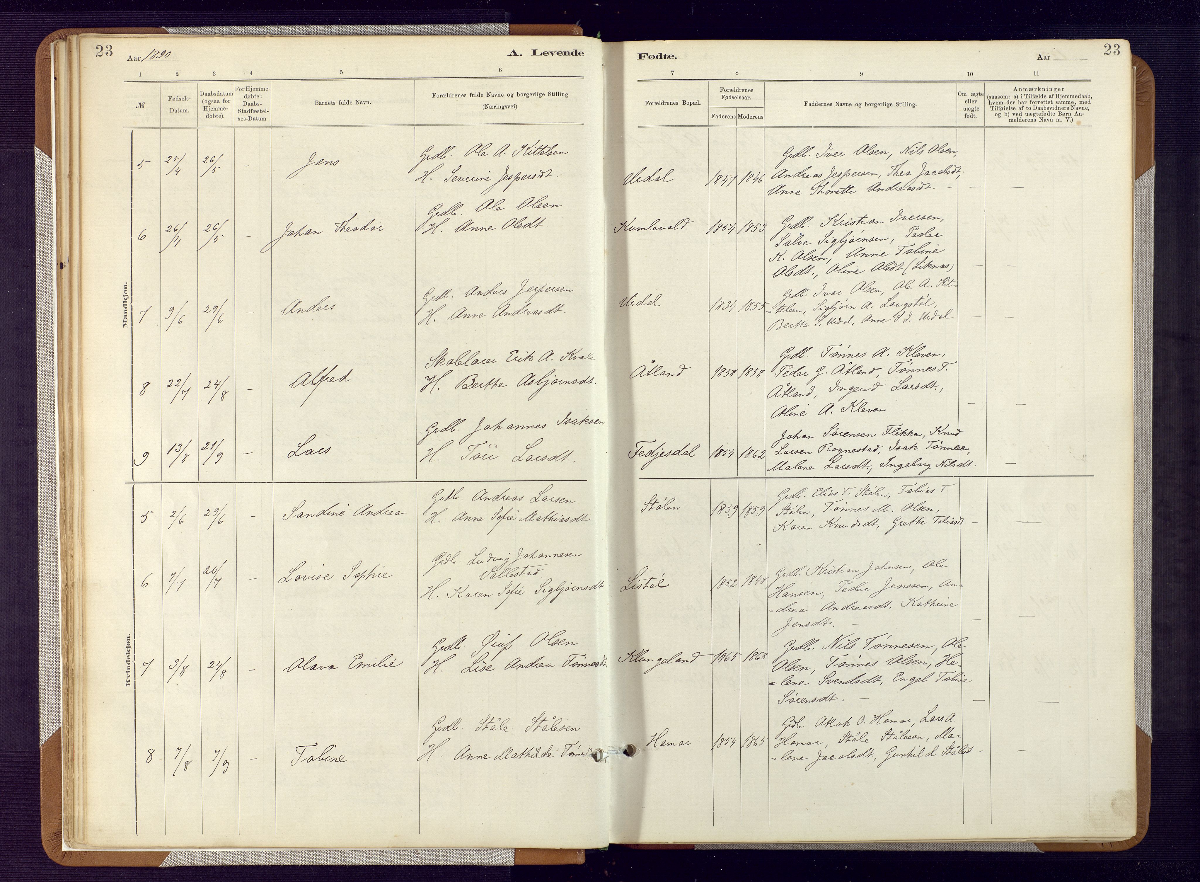Bakke sokneprestkontor, SAK/1111-0002/F/Fa/Fab/L0003: Ministerialbok nr. A 3, 1884-1921, s. 23