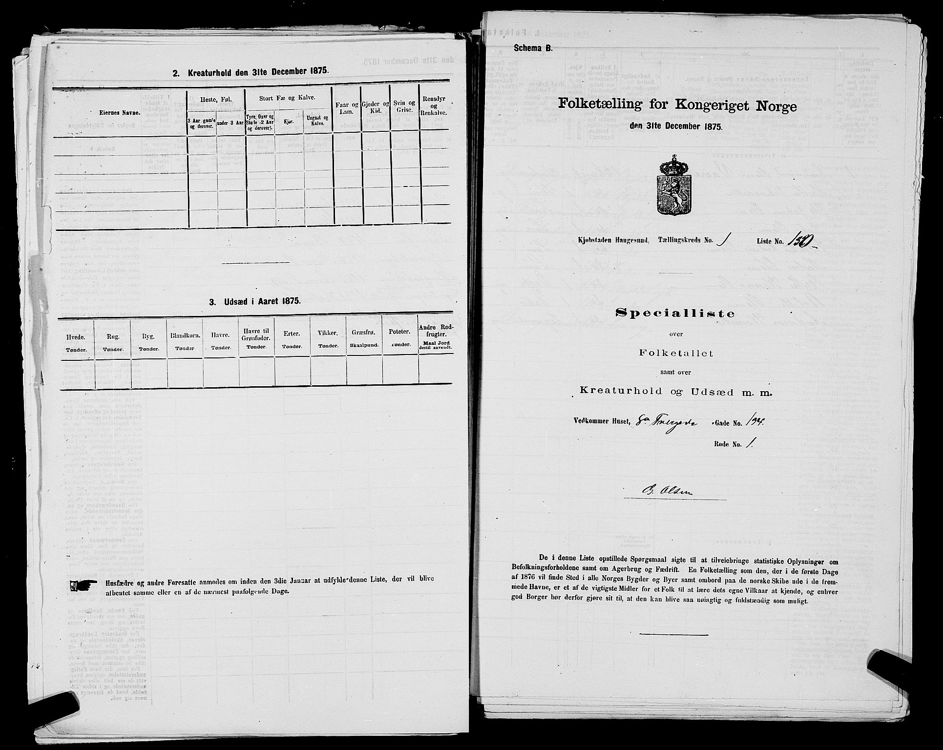 SAST, Folketelling 1875 for 1106B Torvastad prestegjeld, Haugesund kjøpstad, 1875, s. 55