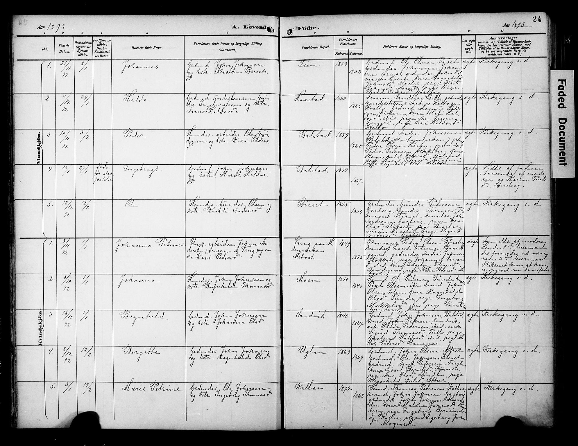 Ministerialprotokoller, klokkerbøker og fødselsregistre - Sør-Trøndelag, SAT/A-1456/695/L1149: Ministerialbok nr. 695A09, 1891-1902, s. 24