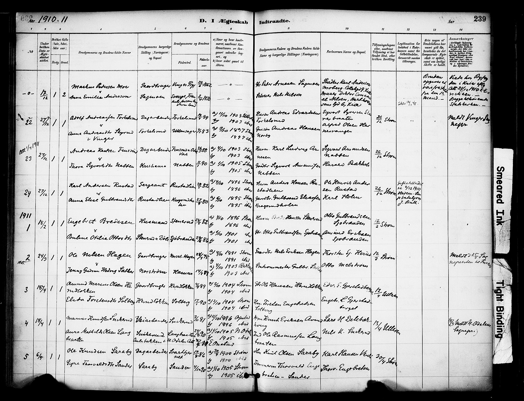 Sør-Odal prestekontor, AV/SAH-PREST-030/H/Ha/Haa/L0007: Ministerialbok nr. 7, 1886-1925, s. 239