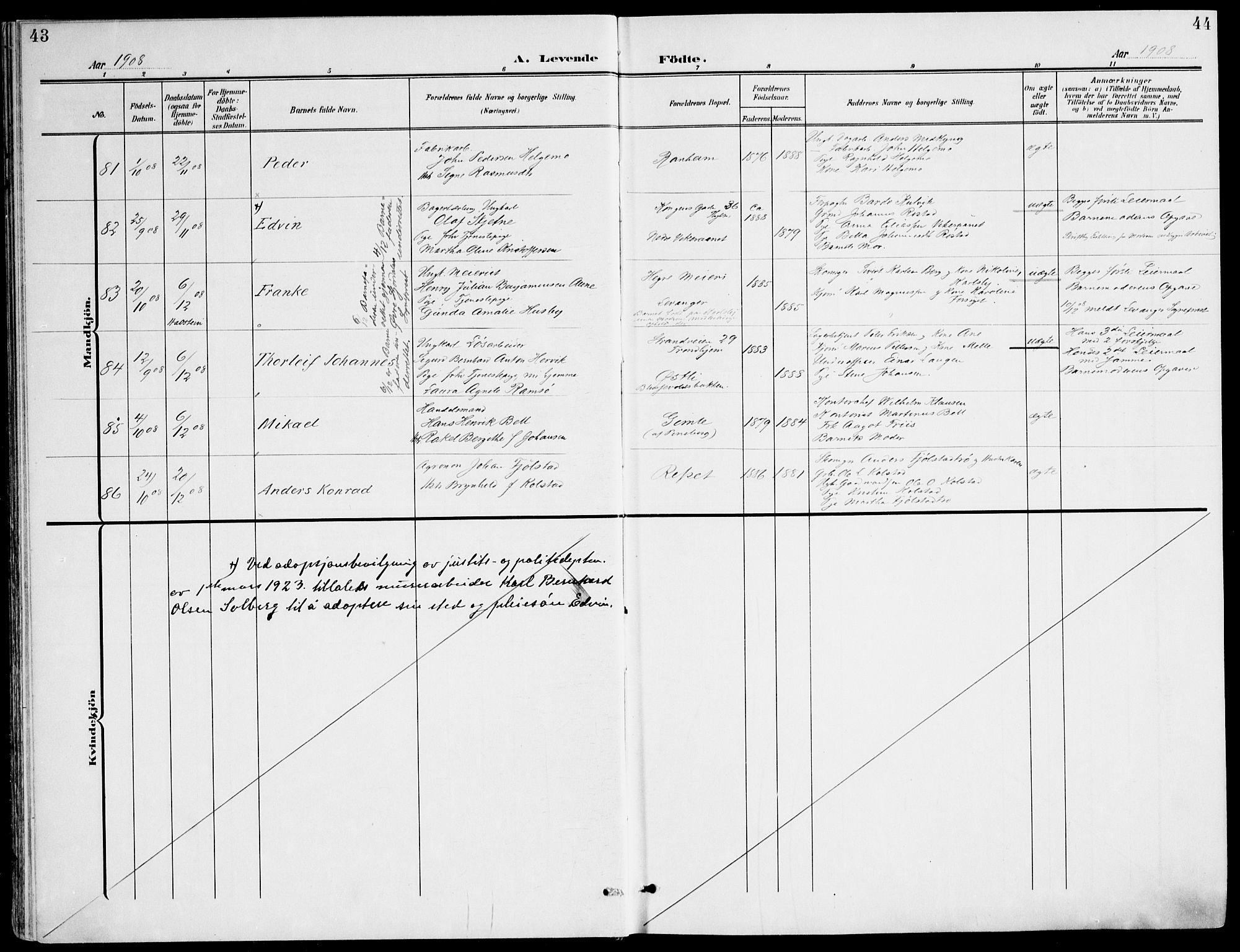 Ministerialprotokoller, klokkerbøker og fødselsregistre - Sør-Trøndelag, SAT/A-1456/607/L0320: Ministerialbok nr. 607A04, 1907-1915, s. 43-44