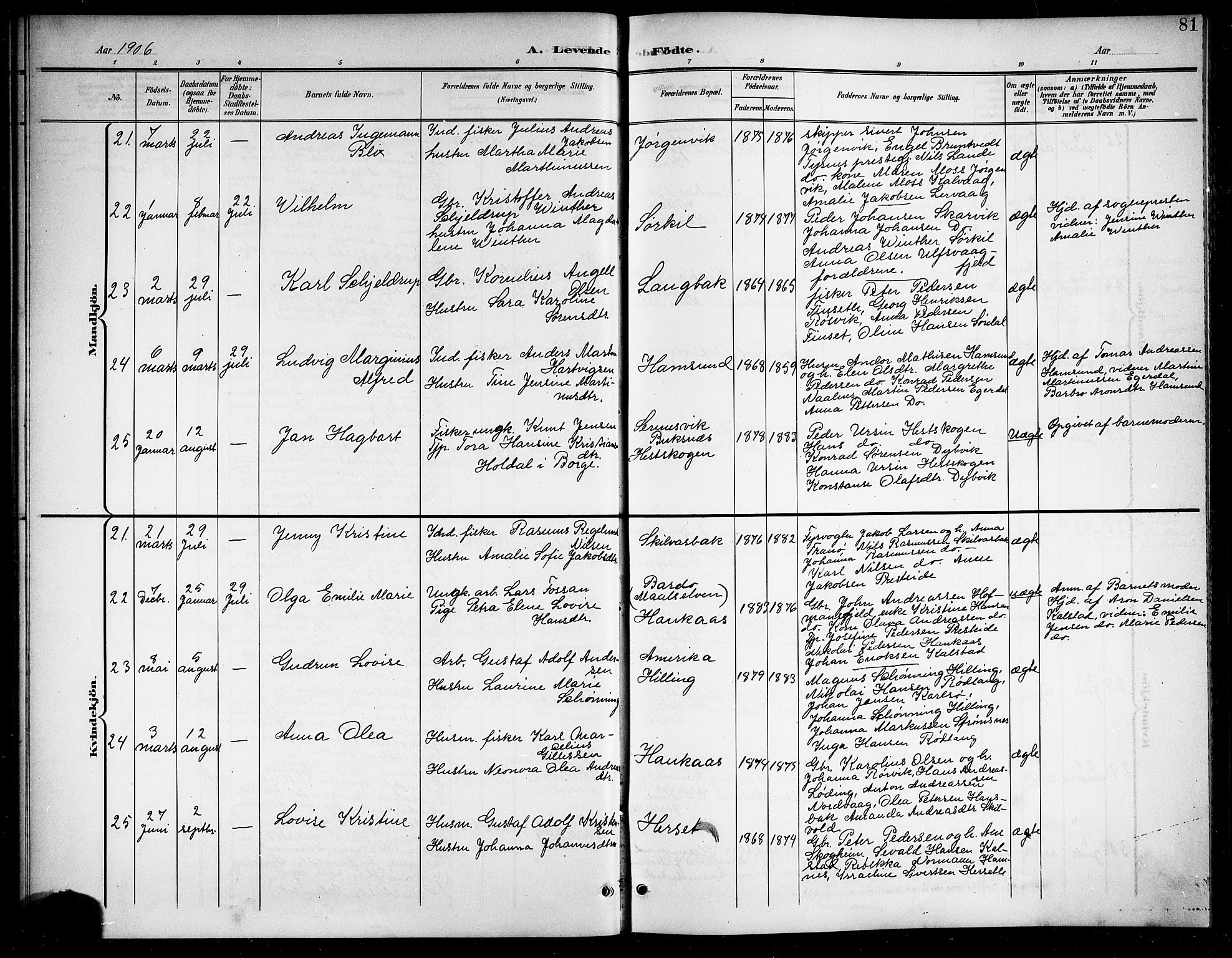 Ministerialprotokoller, klokkerbøker og fødselsregistre - Nordland, AV/SAT-A-1459/859/L0860: Klokkerbok nr. 859C06, 1899-1909, s. 81