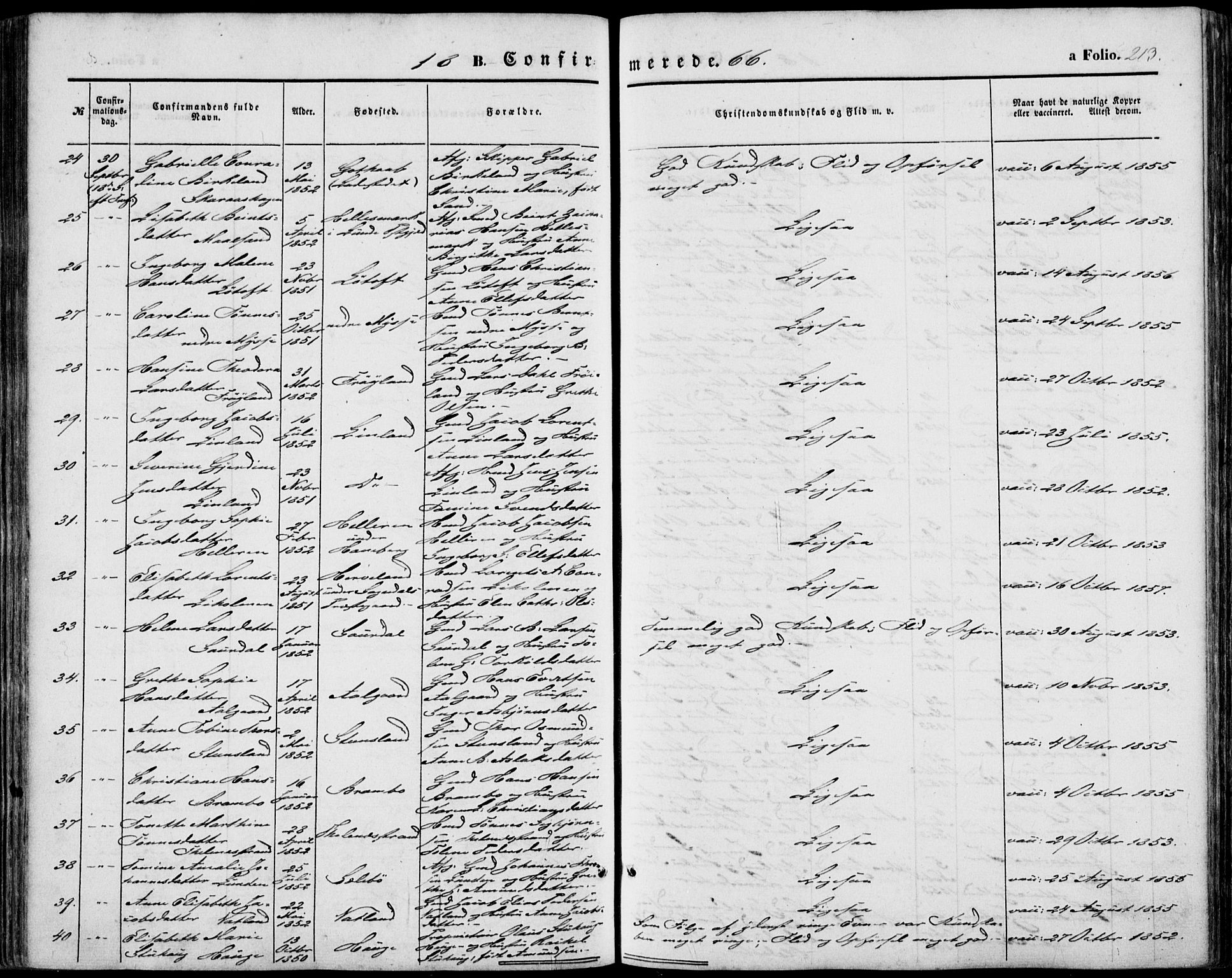 Sokndal sokneprestkontor, AV/SAST-A-101808: Ministerialbok nr. A 9, 1857-1874, s. 213