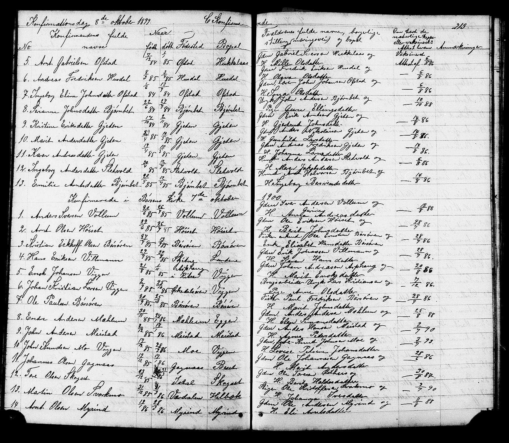 Ministerialprotokoller, klokkerbøker og fødselsregistre - Sør-Trøndelag, SAT/A-1456/665/L0777: Klokkerbok nr. 665C02, 1867-1915, s. 213
