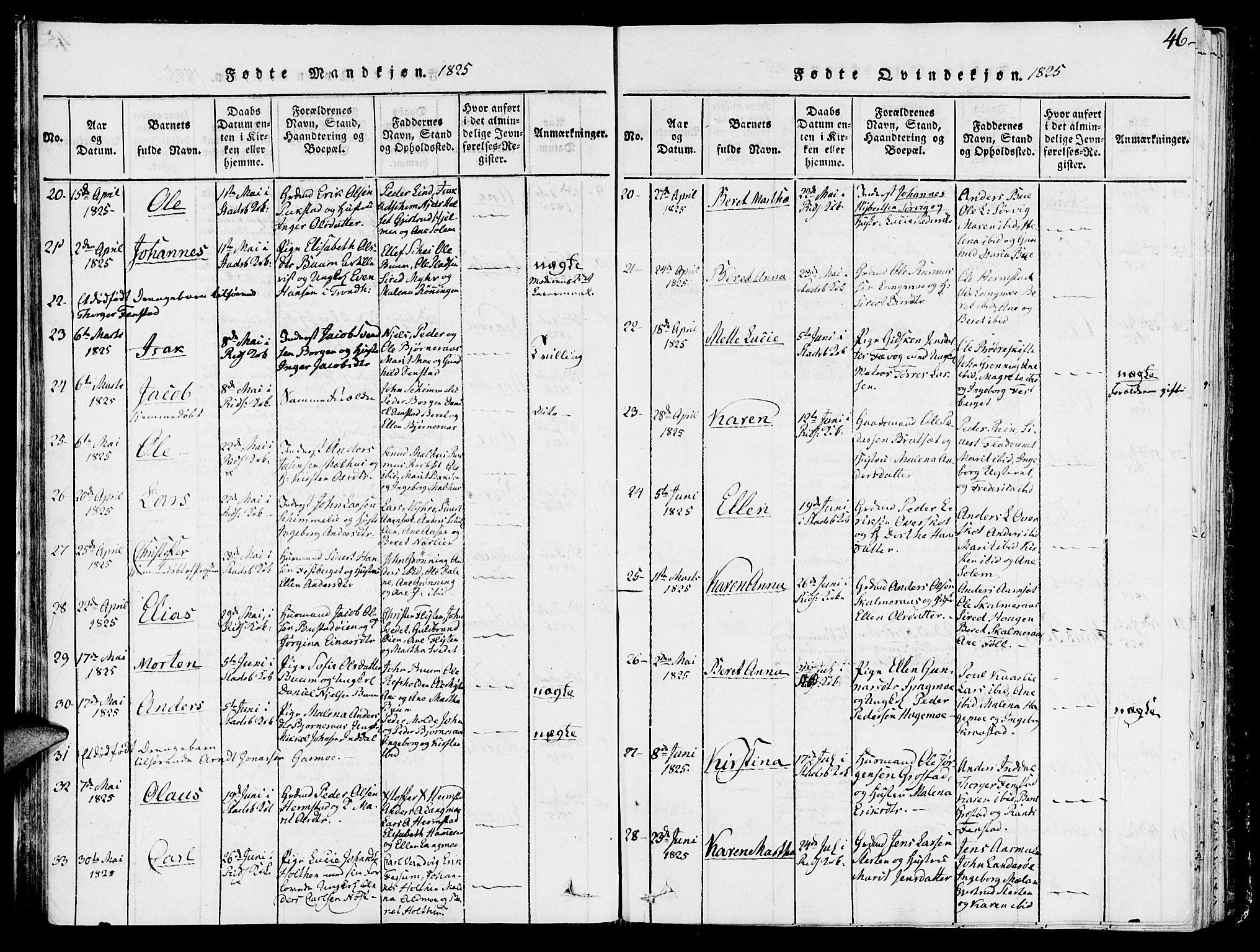 Ministerialprotokoller, klokkerbøker og fødselsregistre - Sør-Trøndelag, SAT/A-1456/646/L0608: Ministerialbok nr. 646A06, 1816-1825, s. 46