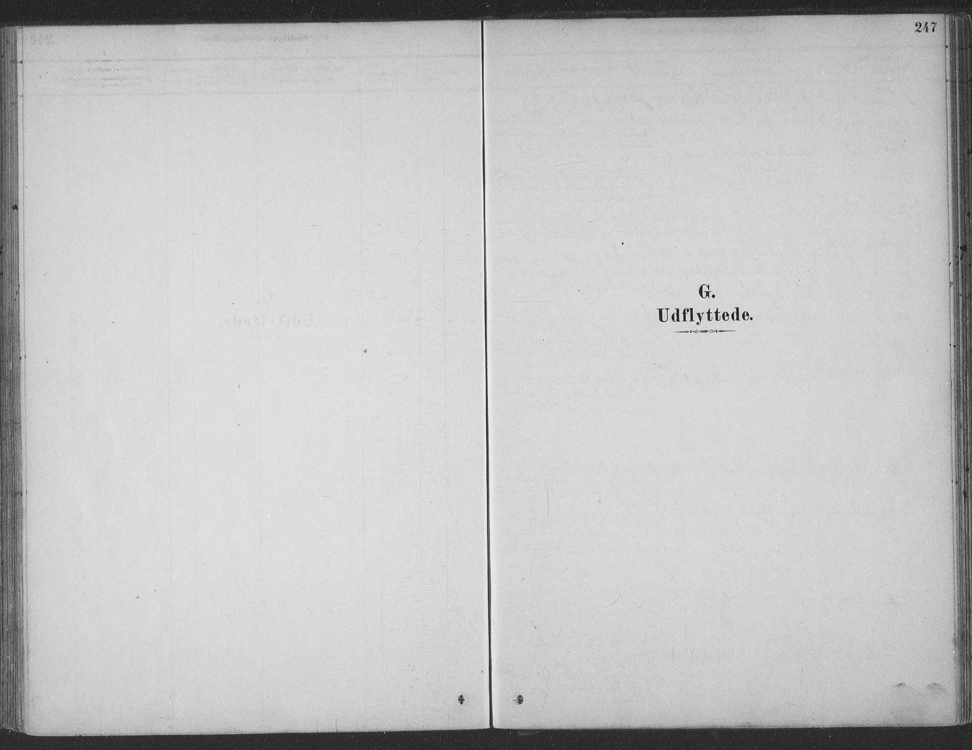 Ministerialprotokoller, klokkerbøker og fødselsregistre - Møre og Romsdal, AV/SAT-A-1454/547/L0604: Ministerialbok nr. 547A06, 1878-1906, s. 247