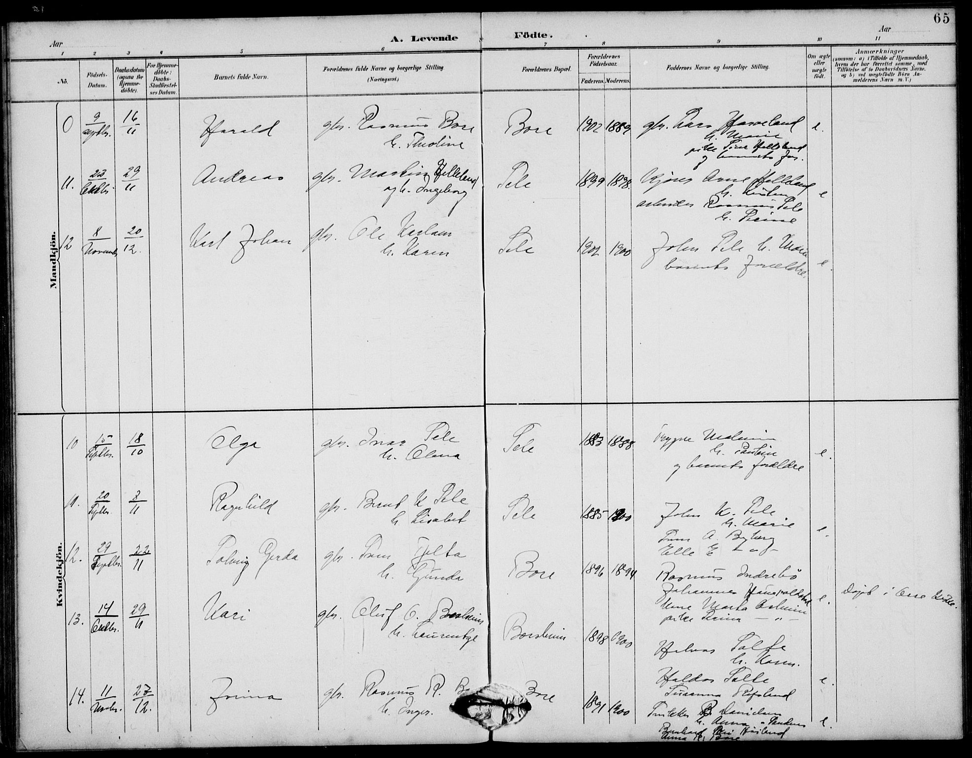 Klepp sokneprestkontor, AV/SAST-A-101803/001/3/30BB/L0006: Klokkerbok nr. B 6, 1889-1936, s. 65