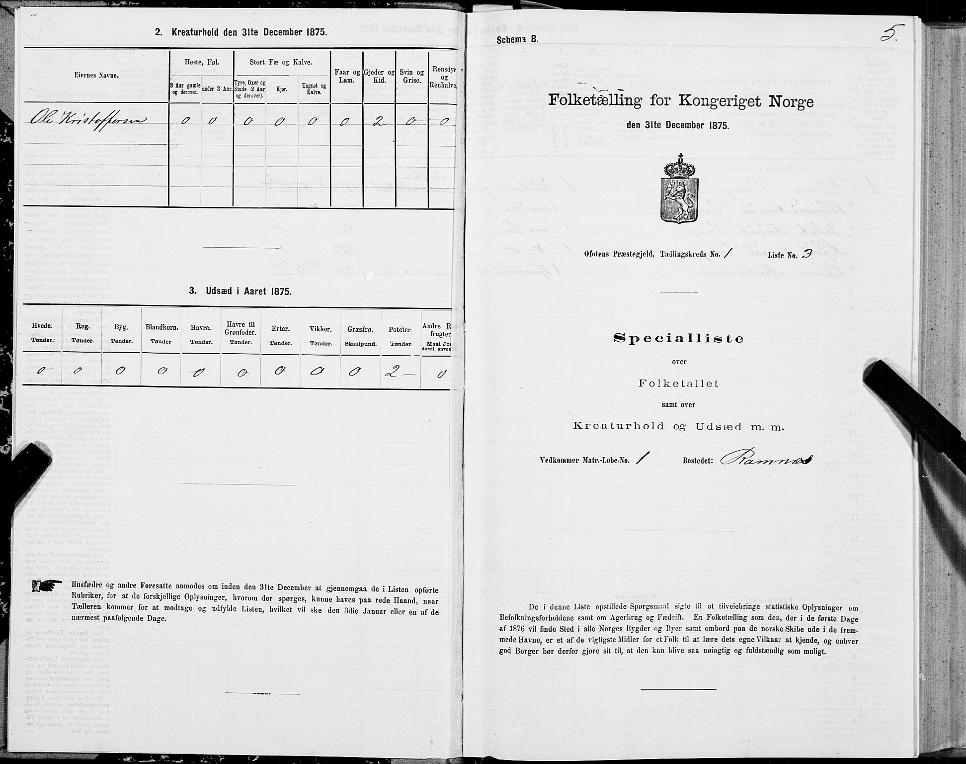 SAT, Folketelling 1875 for 1853P Ofoten prestegjeld, 1875, s. 1005