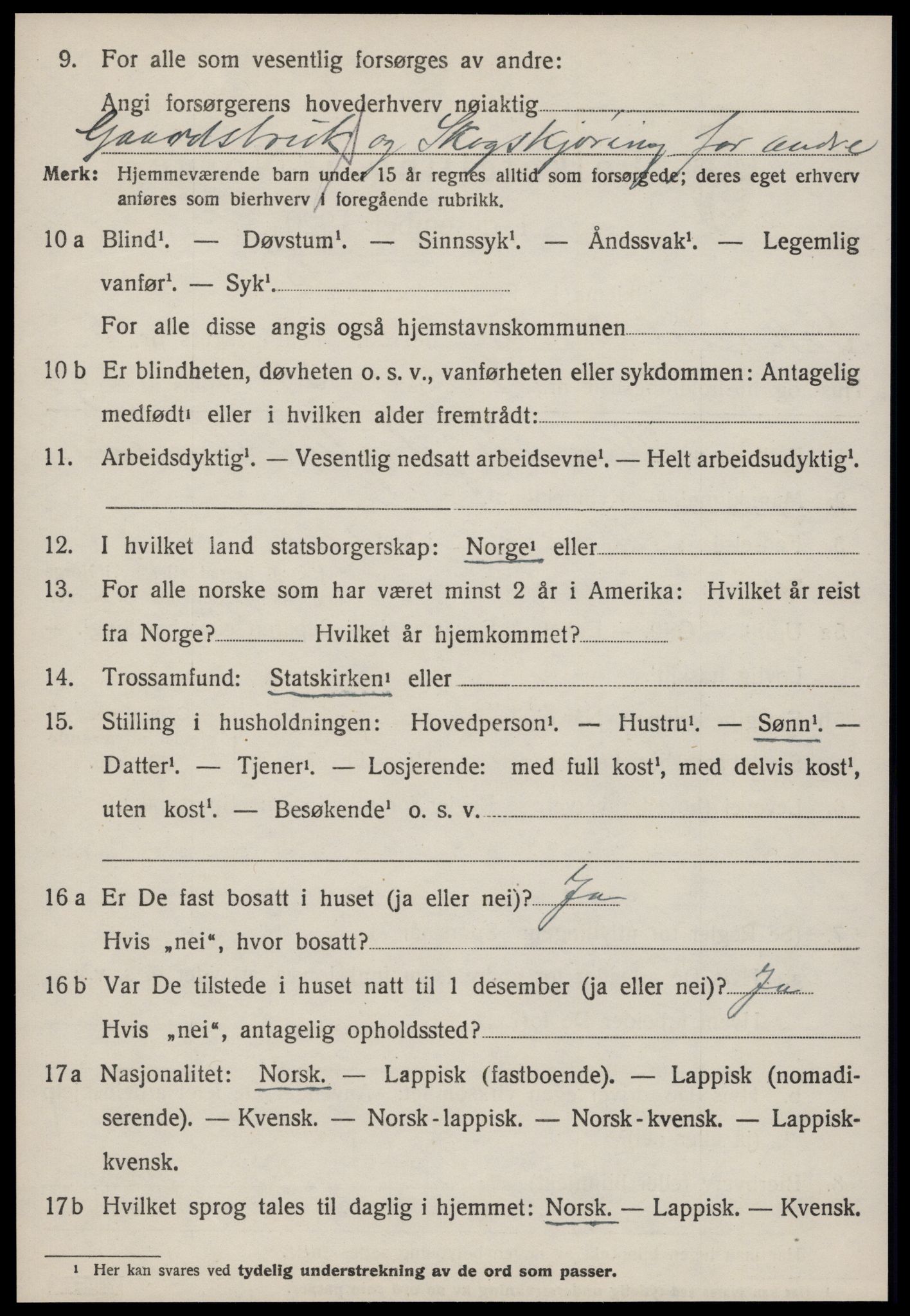 SAT, Folketelling 1920 for 1649 Soknedal herred, 1920, s. 2709