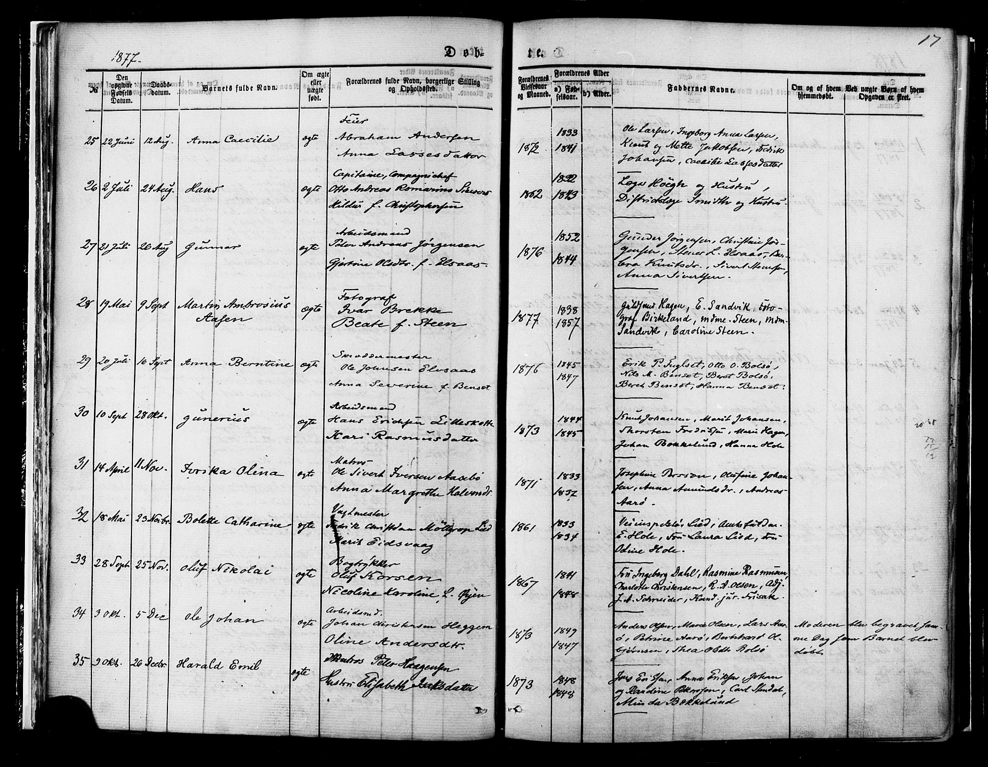 Ministerialprotokoller, klokkerbøker og fødselsregistre - Møre og Romsdal, SAT/A-1454/558/L0691: Ministerialbok nr. 558A05, 1873-1886, s. 17