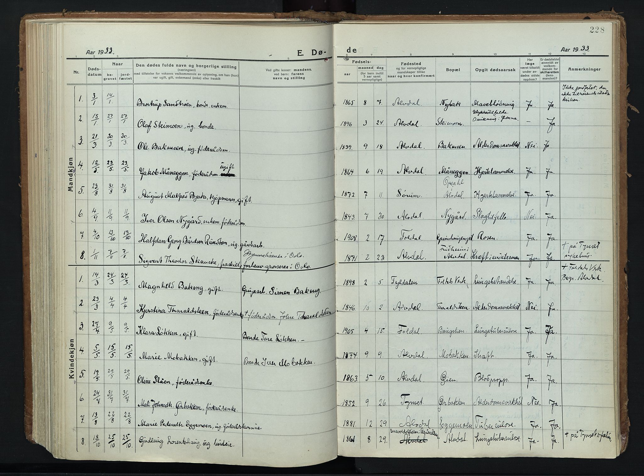 Alvdal prestekontor, AV/SAH-PREST-060/H/Ha/Haa/L0006: Ministerialbok nr. 6, 1920-1937, s. 228