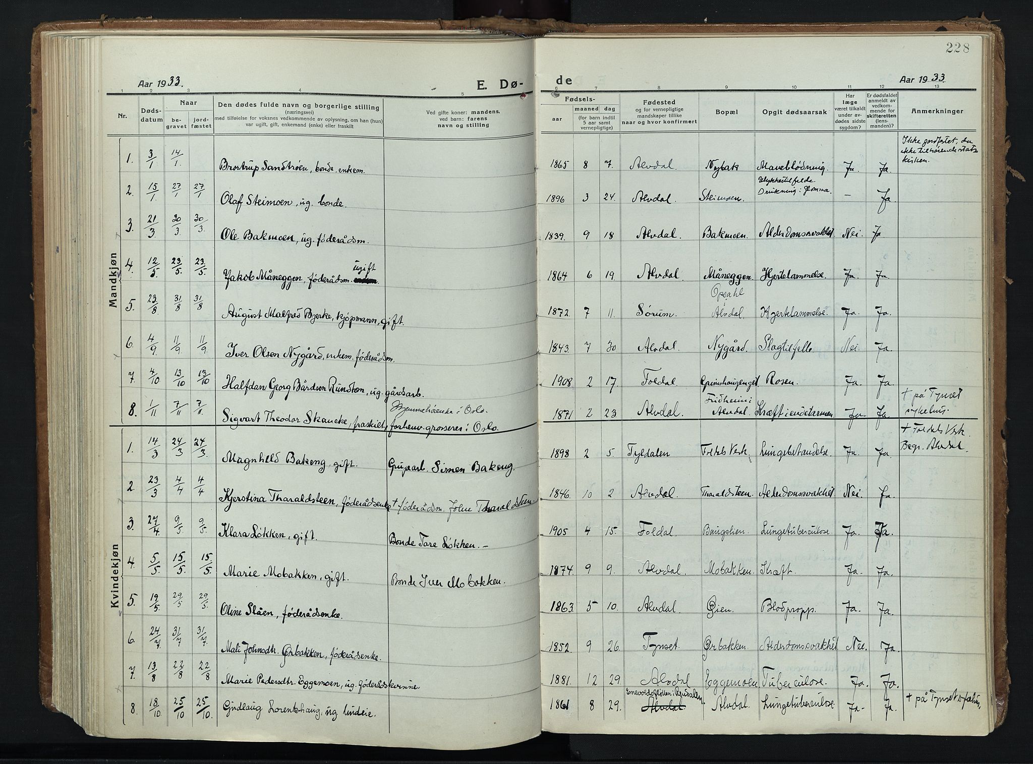 Alvdal prestekontor, SAH/PREST-060/H/Ha/Haa/L0006: Ministerialbok nr. 6, 1920-1937, s. 228