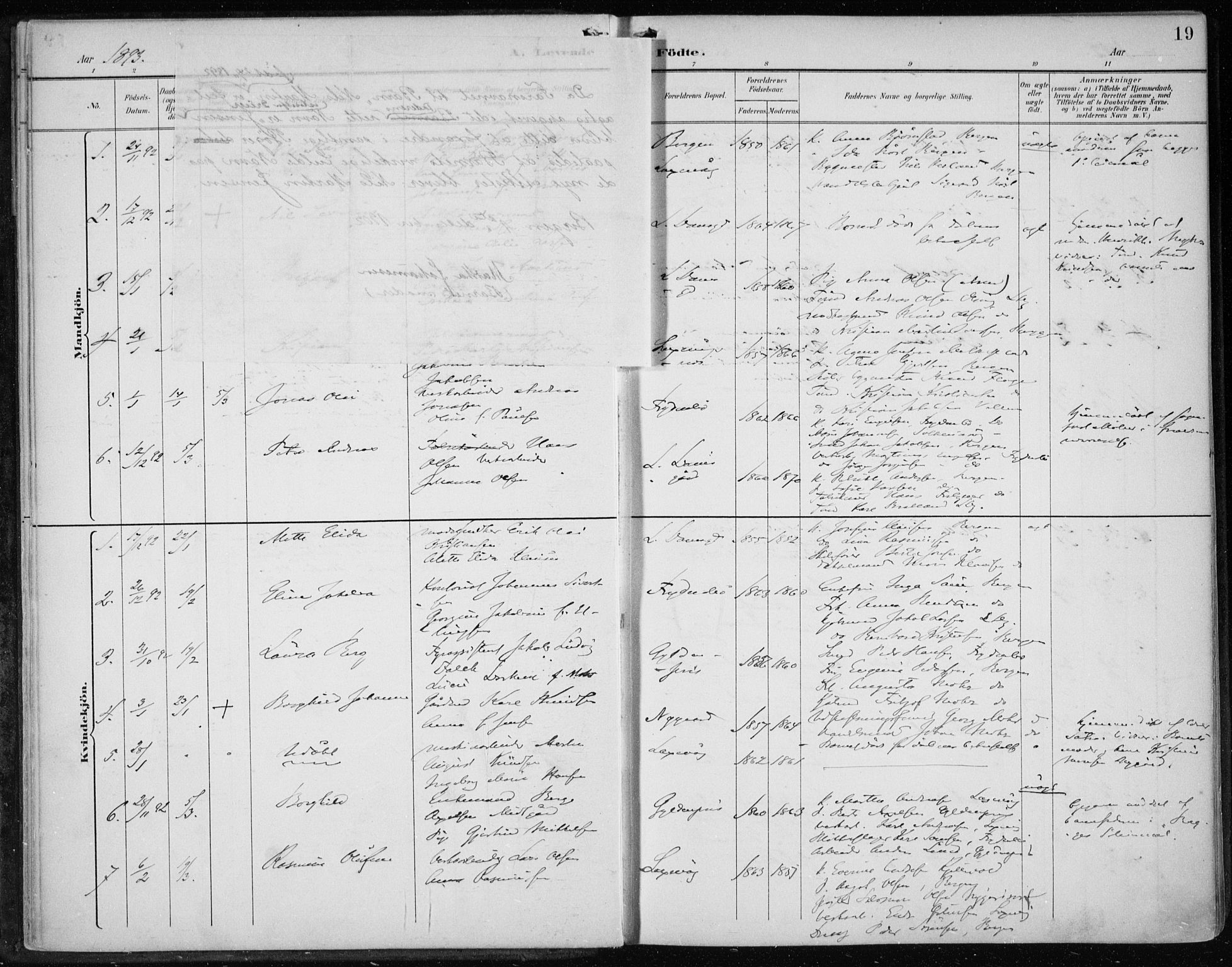 Askøy Sokneprestembete, AV/SAB-A-74101/H/Ha/Haa/Haae/L0003: Ministerialbok nr. E 3, 1891-1903, s. 19