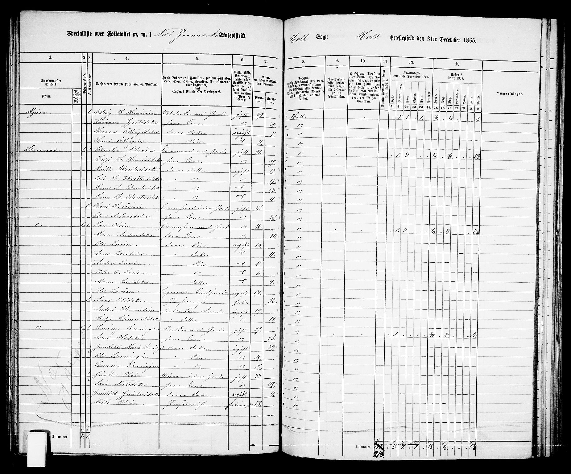 RA, Folketelling 1865 for 0914L Holt prestegjeld, Holt sokn, 1865, s. 129