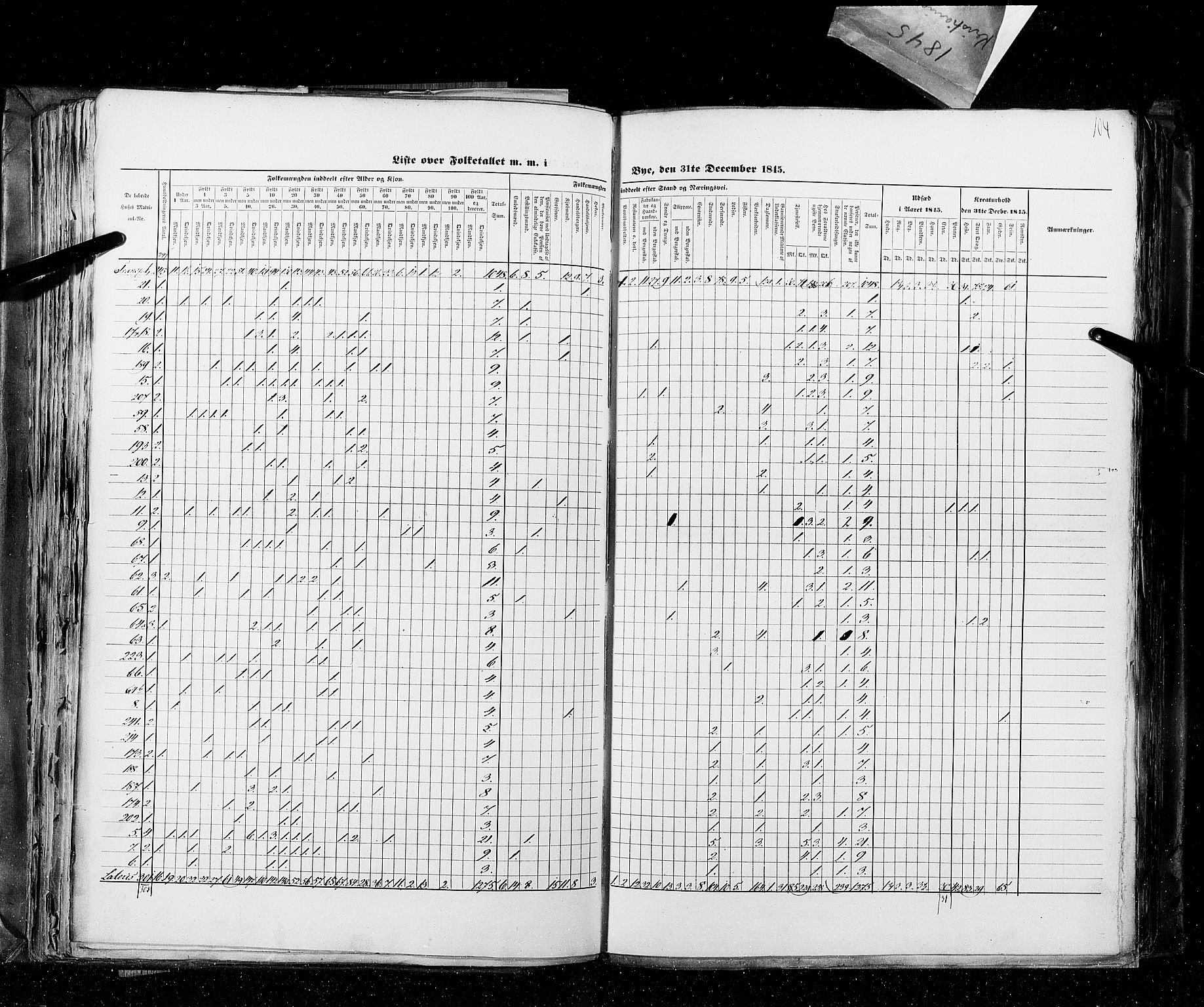 RA, Folketellingen 1845, bind 10: Kjøp- og ladesteder, 1845, s. 104