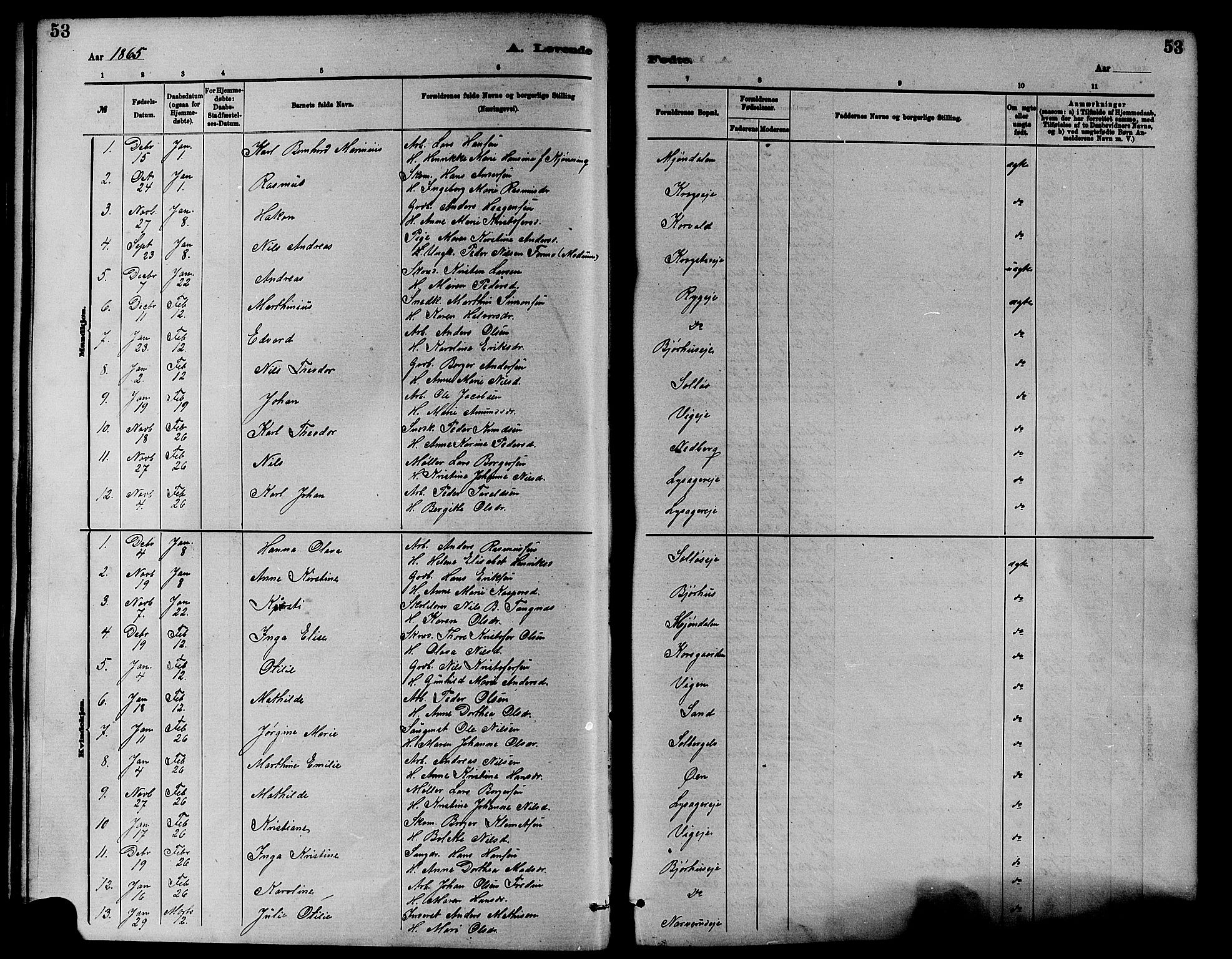 Nedre Eiker kirkebøker, SAKO/A-612/F/Fa/L0001: Ministerialbok nr. 1, 1853-1877, s. 53