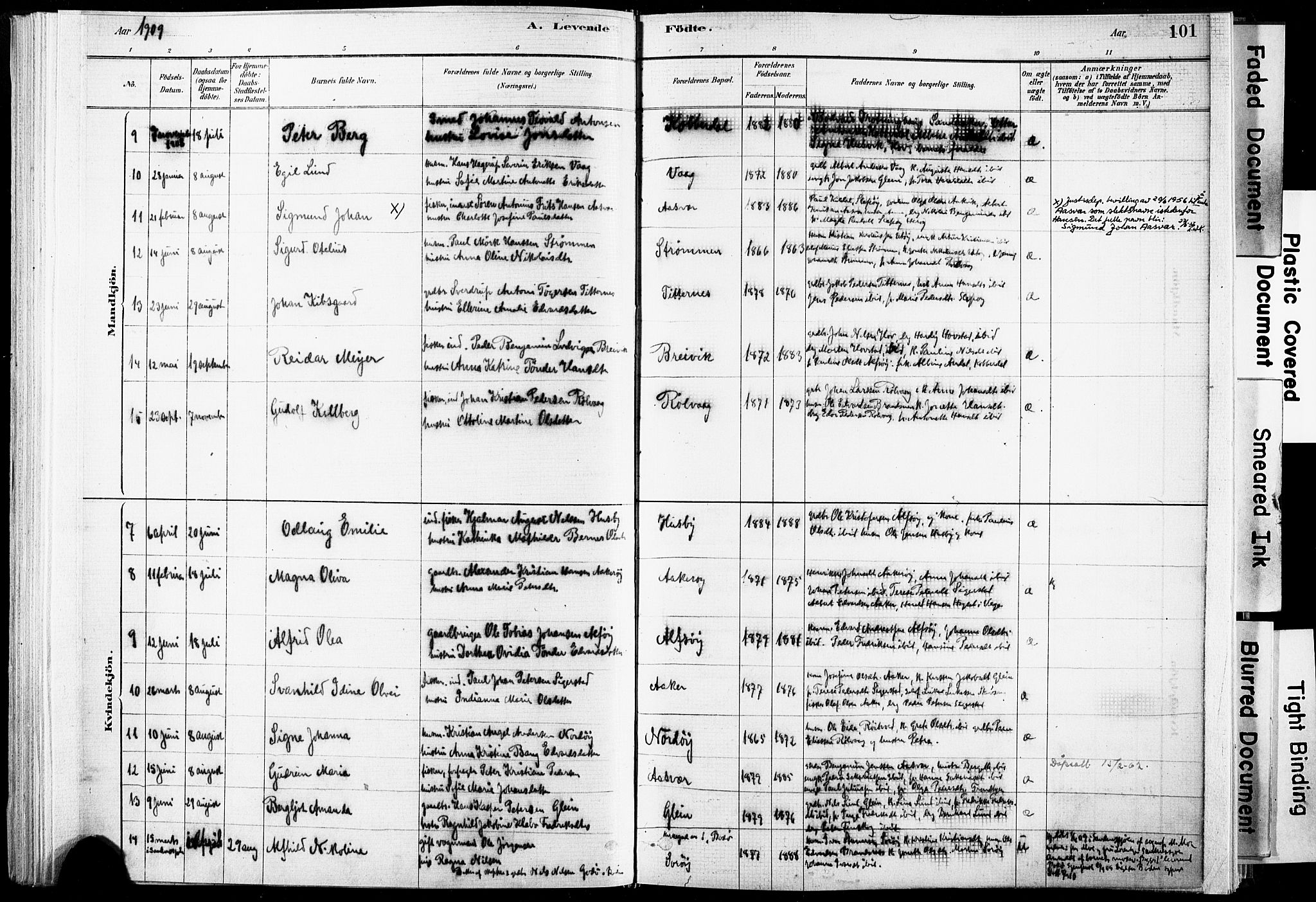 Ministerialprotokoller, klokkerbøker og fødselsregistre - Nordland, AV/SAT-A-1459/835/L0525: Ministerialbok nr. 835A03I, 1881-1910, s. 101