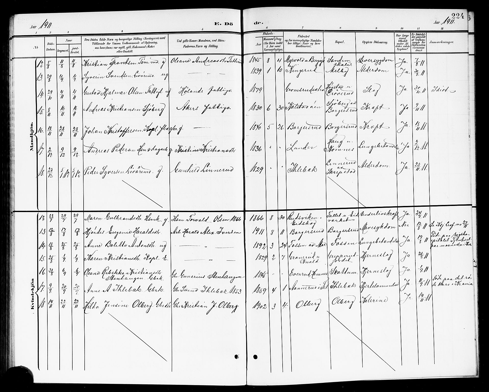Høland prestekontor Kirkebøker, AV/SAO-A-10346a/G/Ga/L0007: Klokkerbok nr. I 7, 1902-1914, s. 224