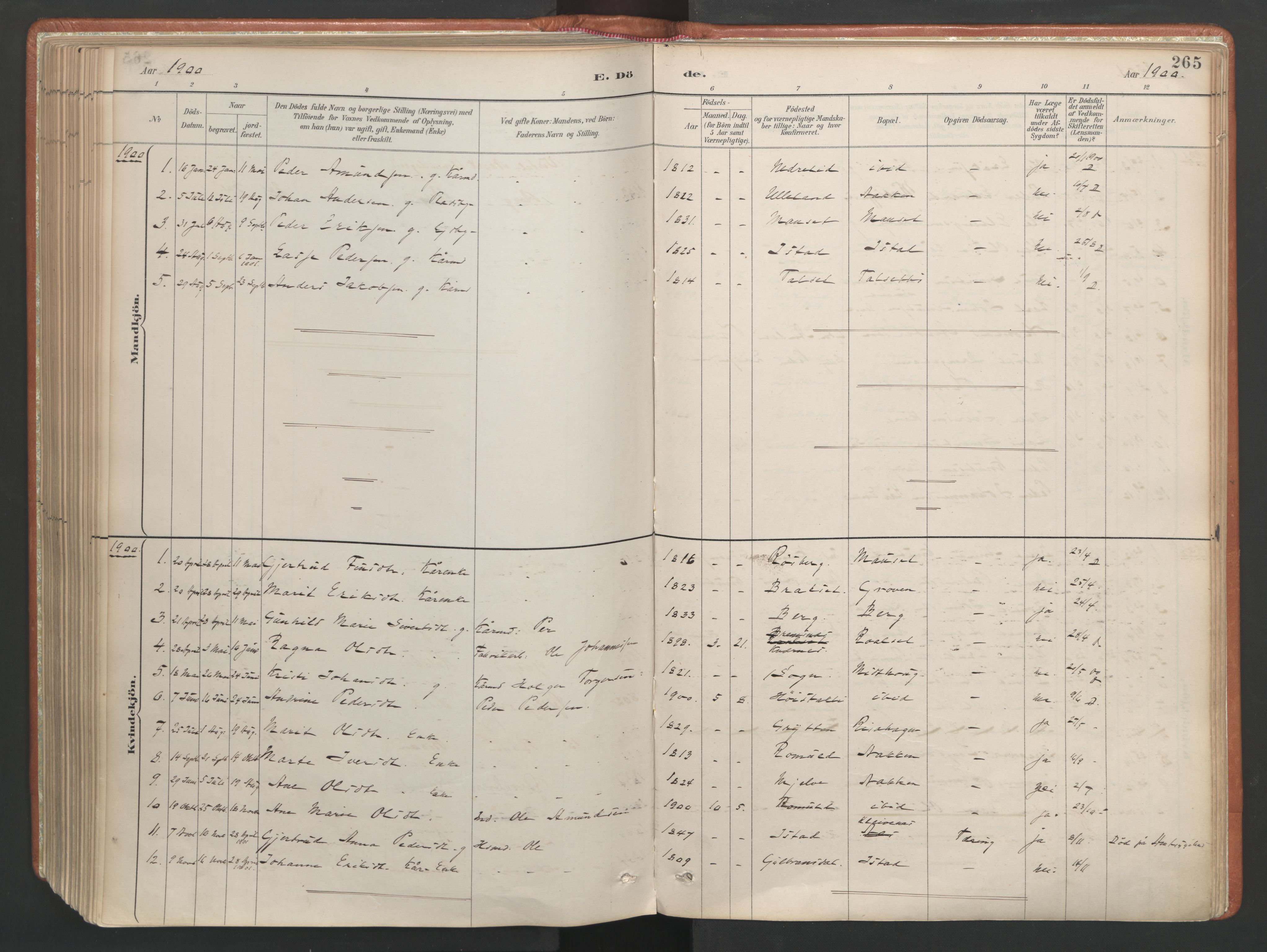 Ministerialprotokoller, klokkerbøker og fødselsregistre - Møre og Romsdal, AV/SAT-A-1454/557/L0682: Ministerialbok nr. 557A04, 1887-1970, s. 265