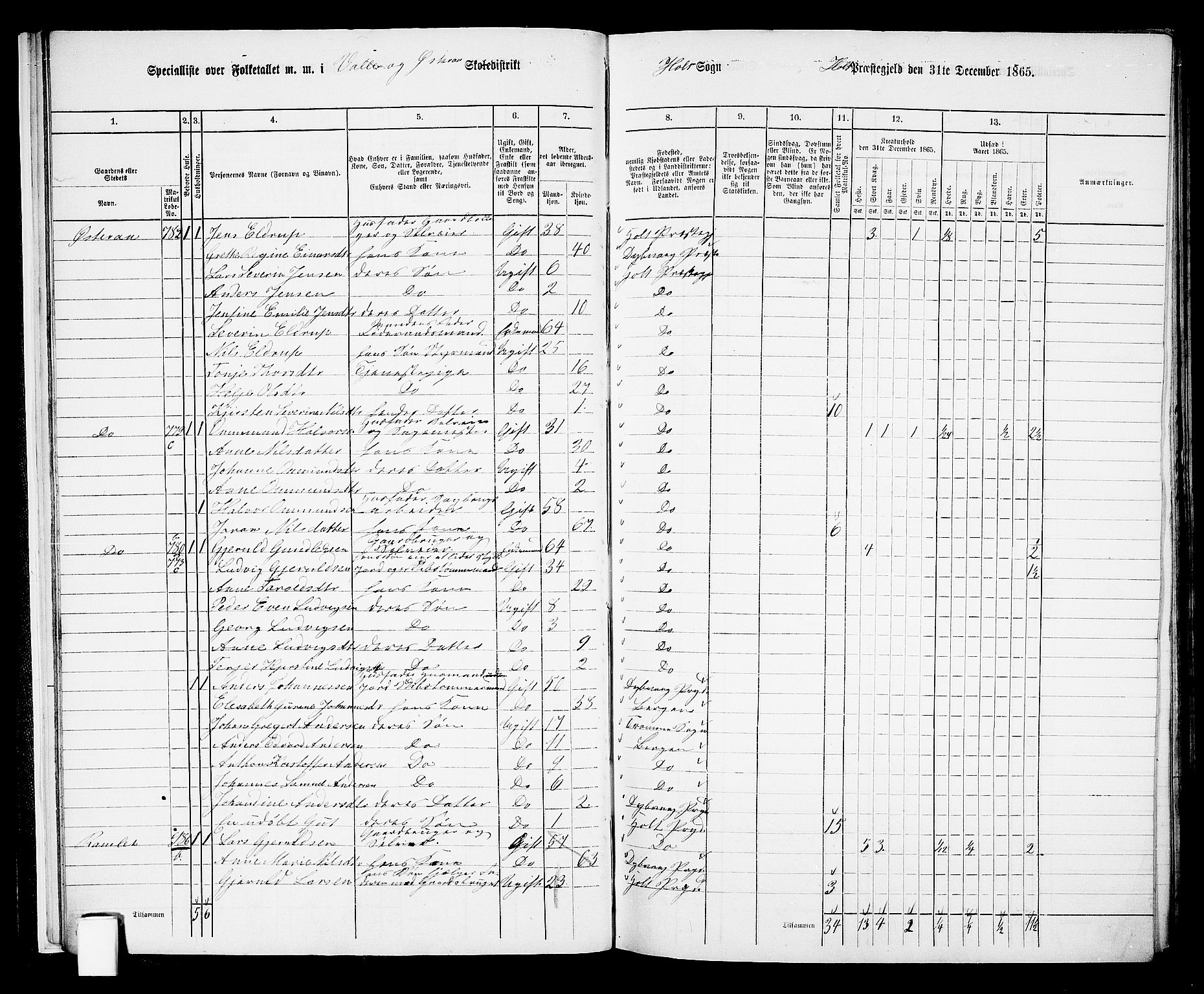 RA, Folketelling 1865 for 0914L Holt prestegjeld, Holt sokn, 1865, s. 18